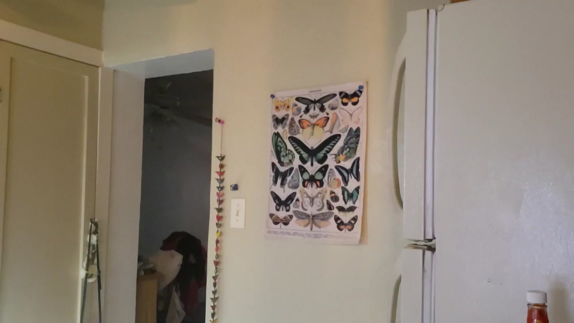 Gallery image thumbnail from TrollopTaylor's myfreecams stream on, 05/15/2025, 24:02 image 17 of 20
