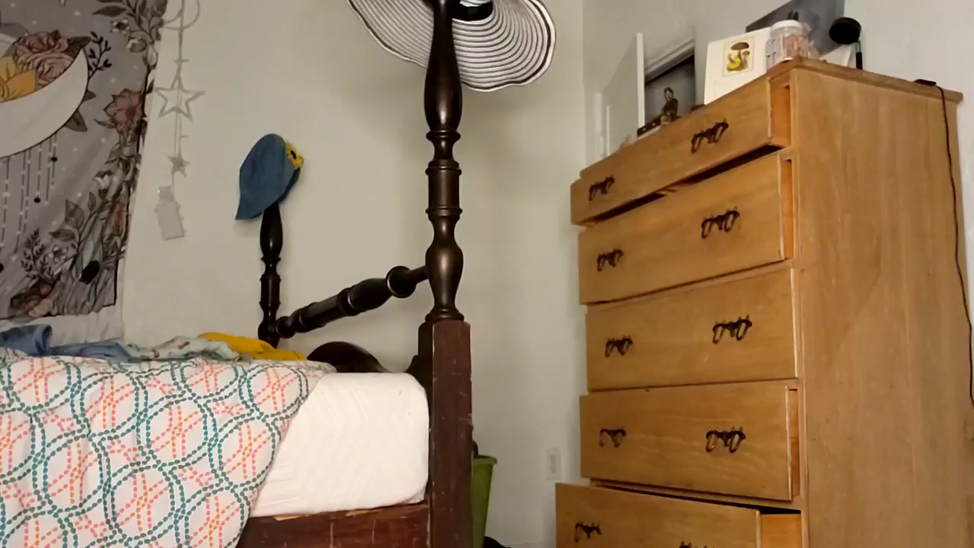 Gallery image thumbnail from TrollopTaylor's myfreecams stream on, 07/14/2025, 02:25 image 12 of 20