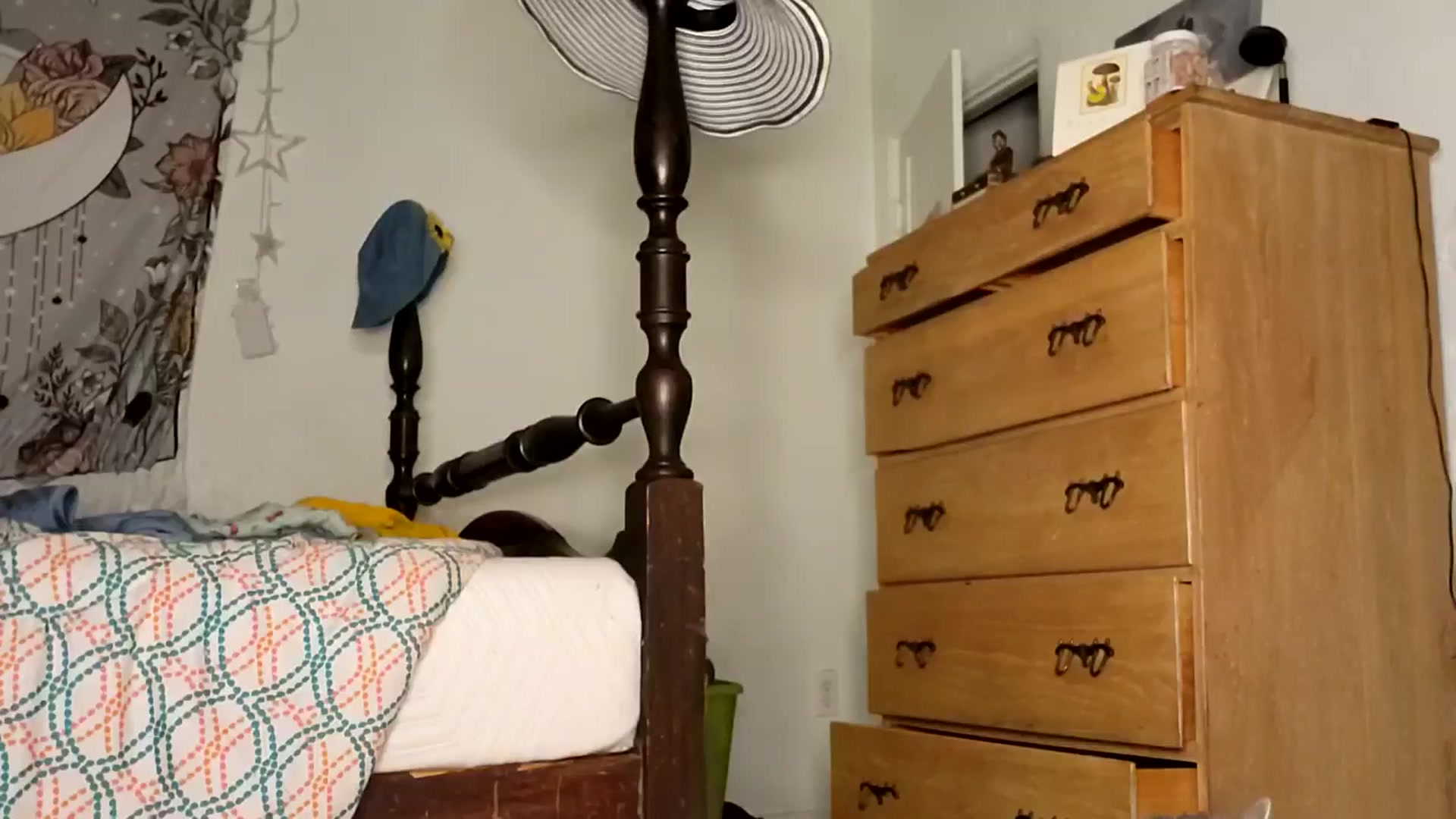 Gallery image thumbnail from TrollopTaylor's myfreecams stream on, 07/14/2025, 02:25 image 13 of 20