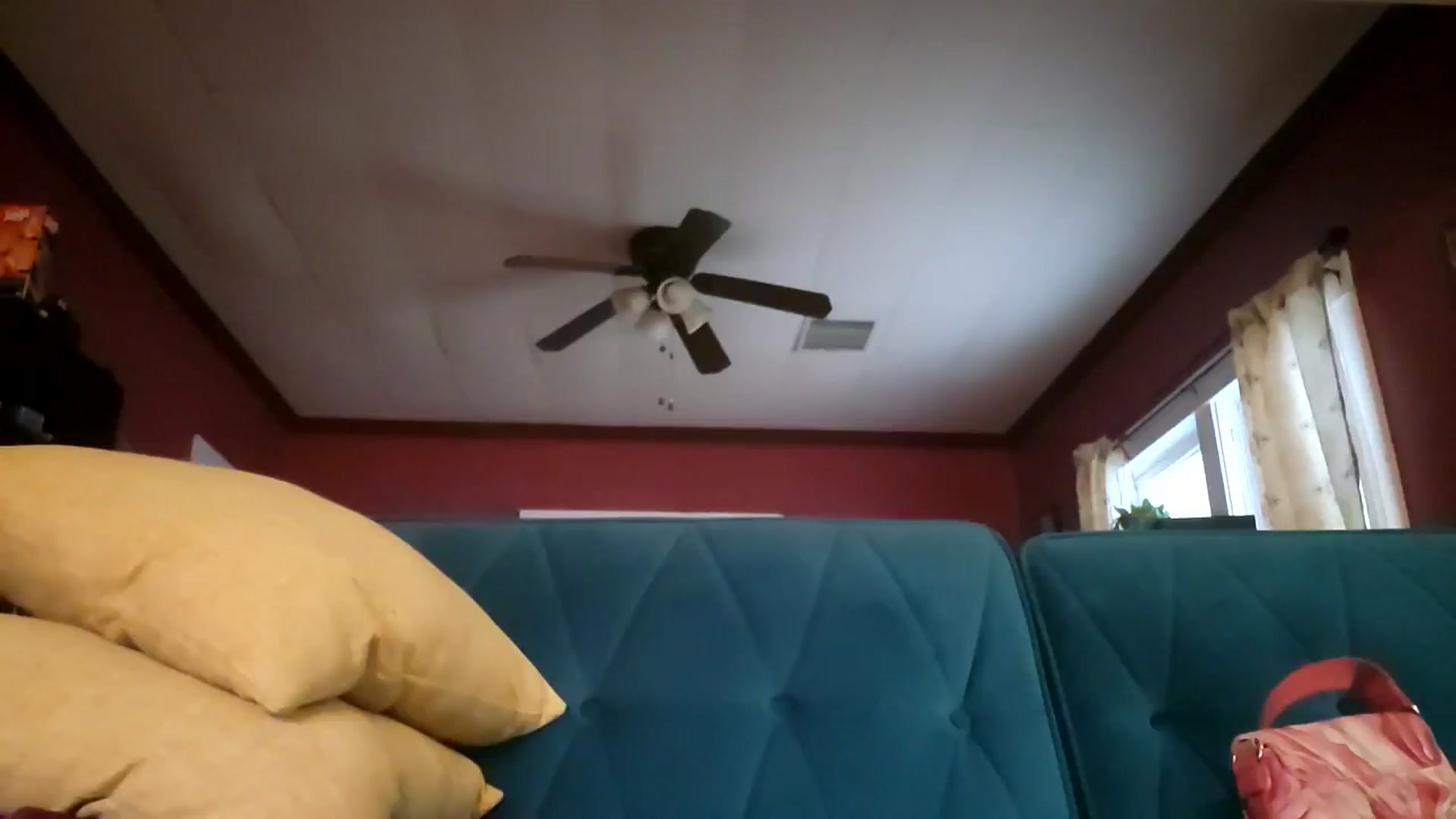 Gallery image thumbnail from TrollopTaylor's myfreecams stream on, 09/17/2025, 24:57 image 10 of 20