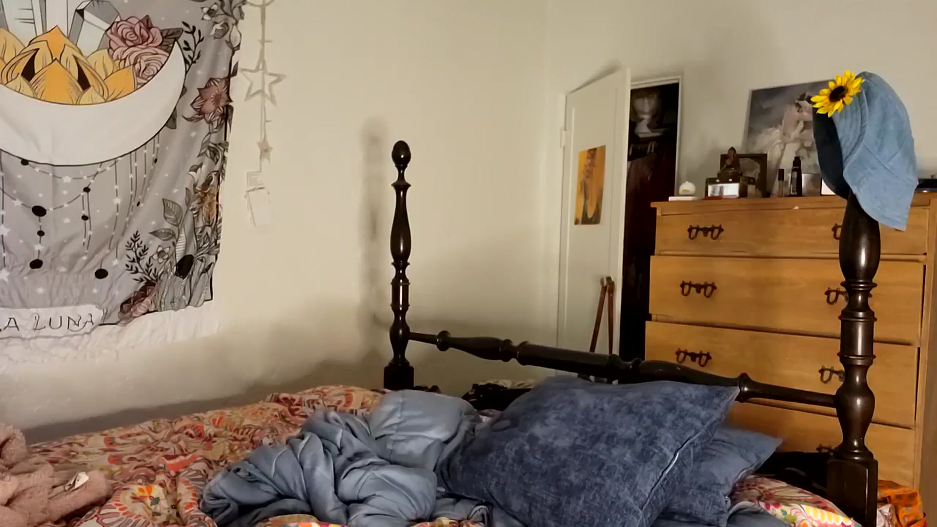 Gallery image thumbnail from TrollopTaylor's myfreecams stream on, 11/11/2025, 18:36 image 10 of 20