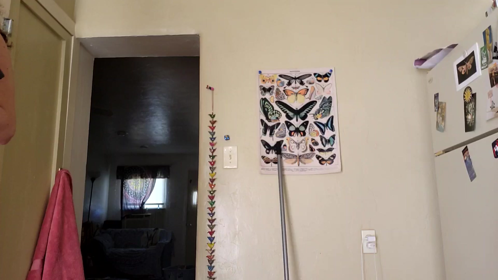 Gallery image thumbnail from TrollopTaylor's myfreecams stream on, 11/13/2025, 21:09 image 8 of 20