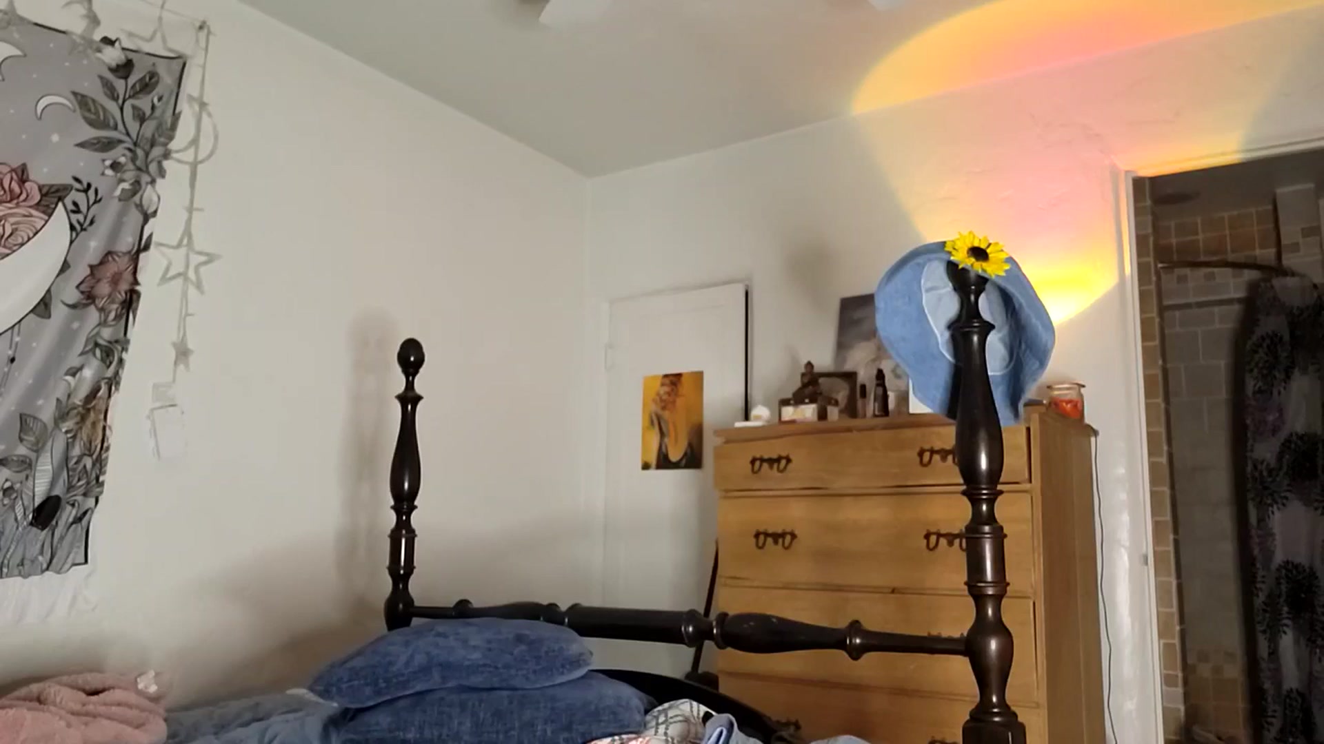 Gallery image thumbnail from TrollopTaylor's myfreecams stream on, 11/25/2025, 07:54 image 1 of 20