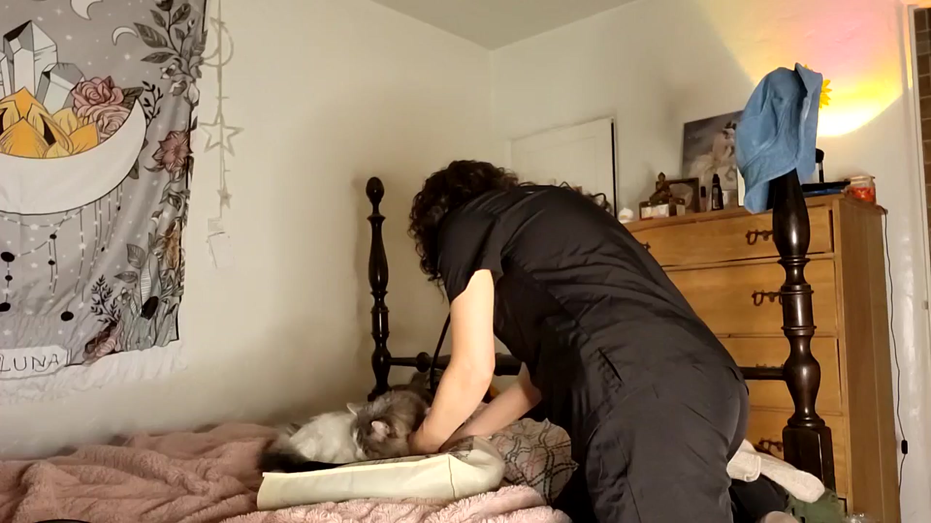 Gallery image thumbnail from TrollopTaylor's myfreecams stream on, 11/25/2025, 23:24 image 18 of 20