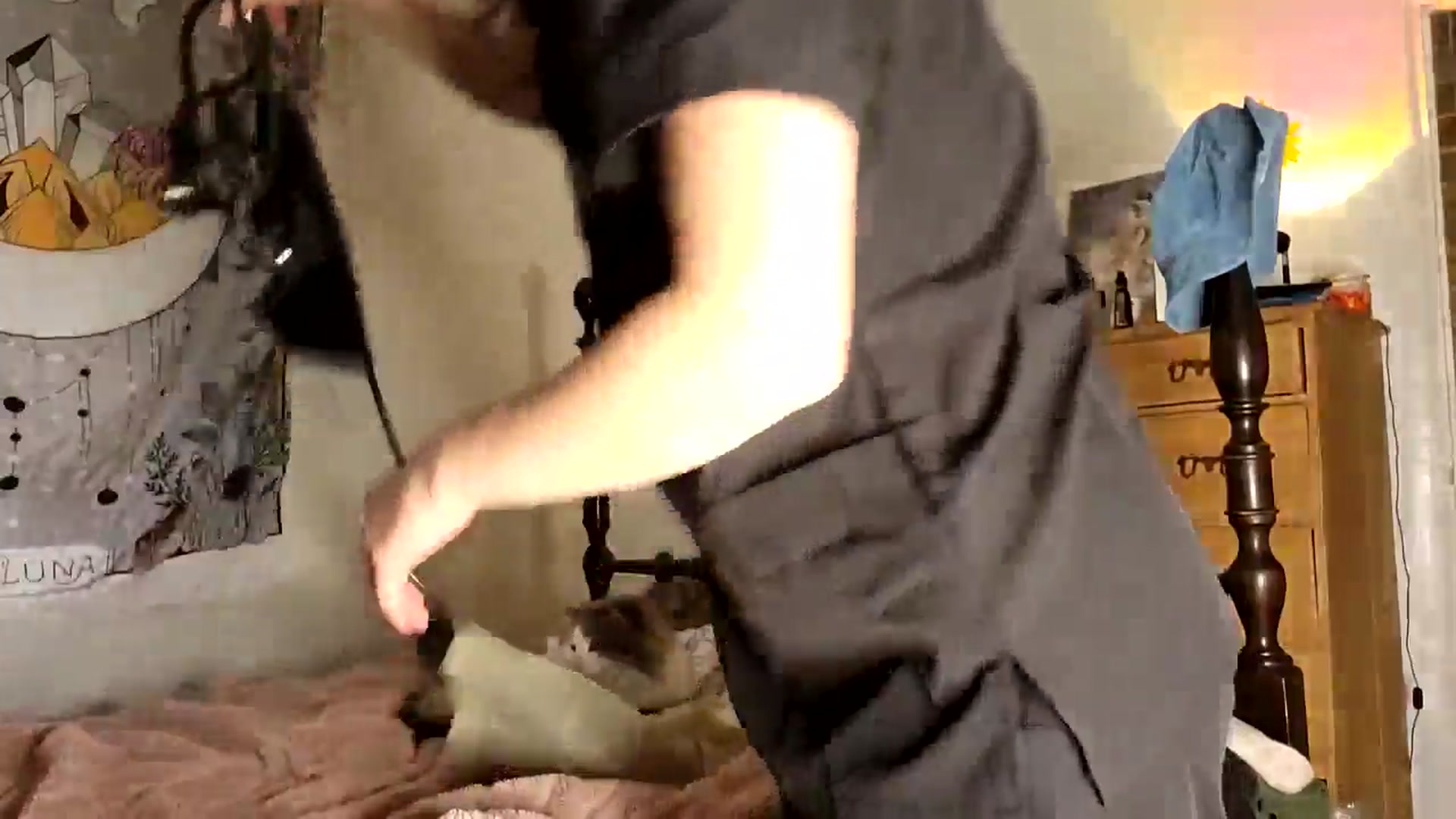 Gallery image thumbnail from TrollopTaylor's myfreecams stream on, 11/25/2025, 23:24 image 2 of 20