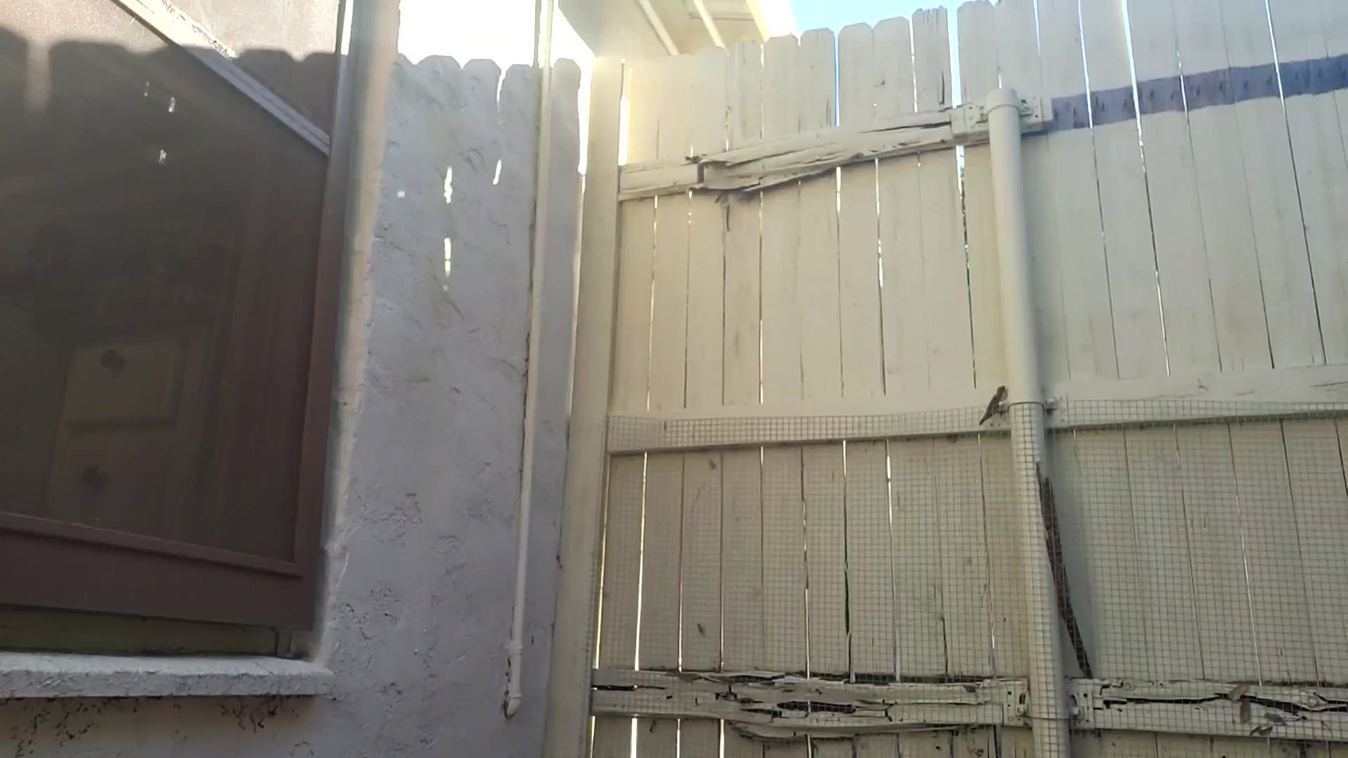 Gallery image thumbnail from TrollopTaylor's myfreecams stream on, 12/14/2025, 21:50 image 5 of 20