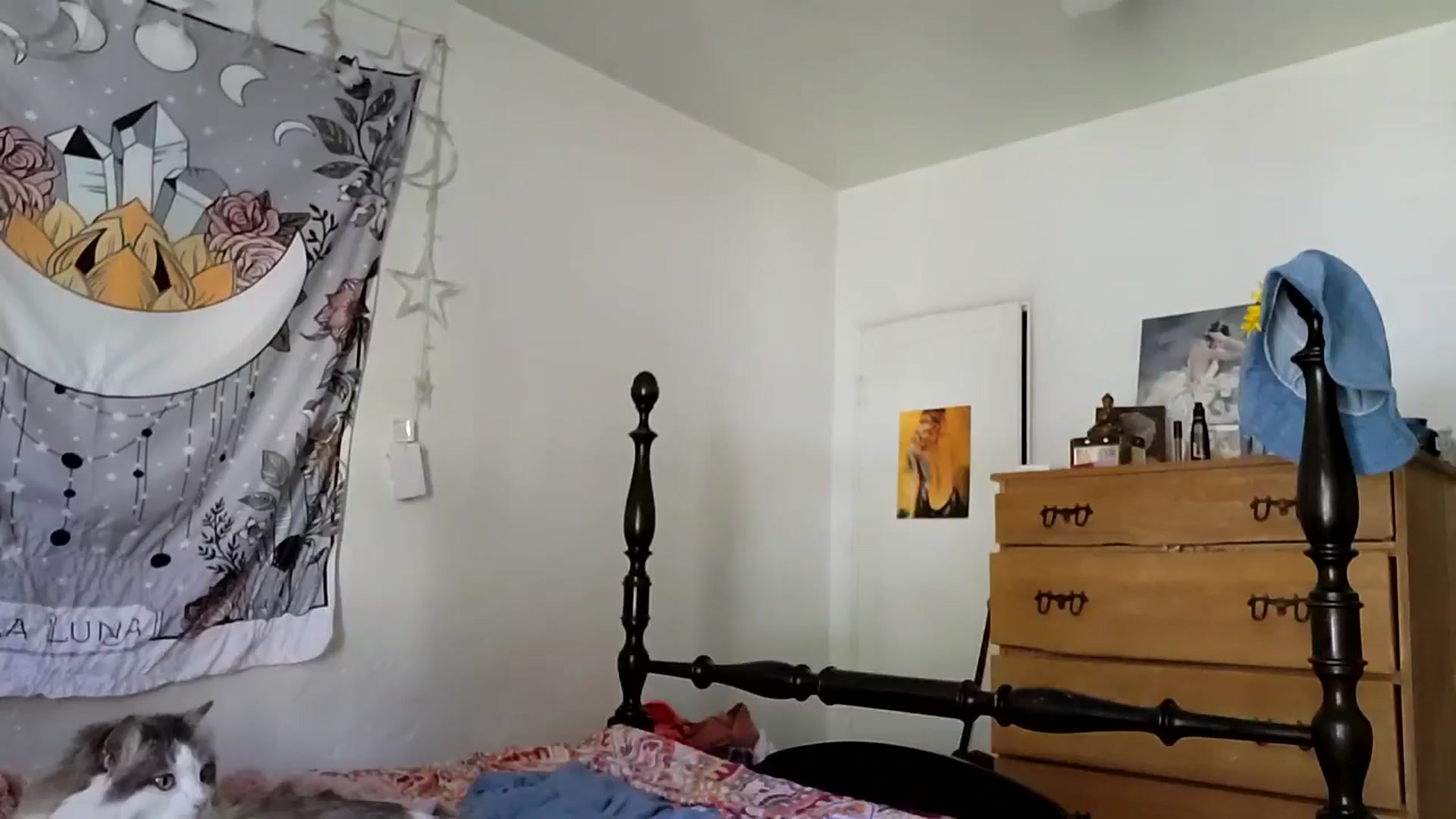 Gallery image thumbnail from TrollopTaylor's myfreecams stream on, 12/28/2025, 20:23 image 6 of 20