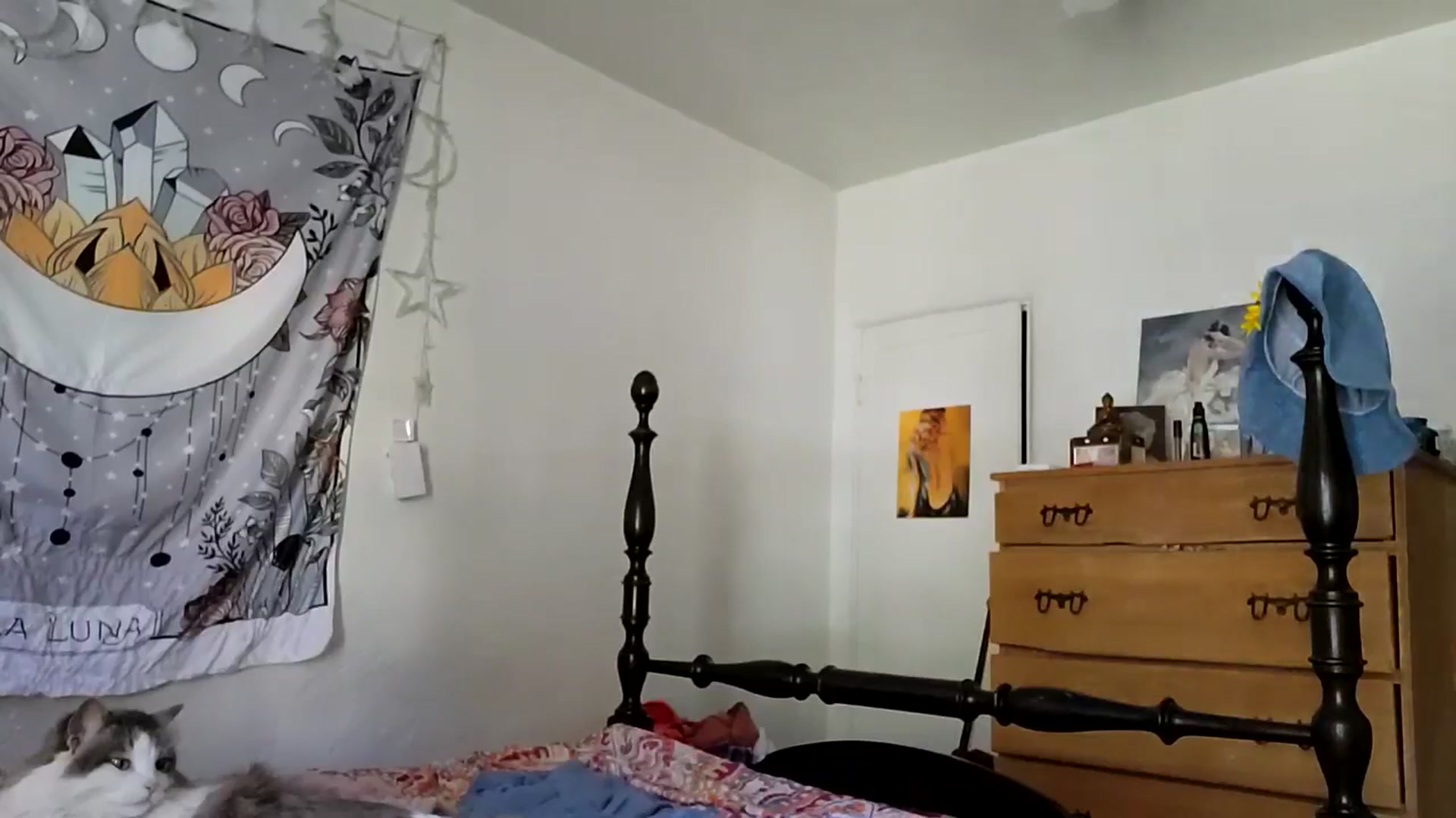 Gallery image thumbnail from TrollopTaylor's myfreecams stream on, 12/28/2025, 20:23 image 4 of 20