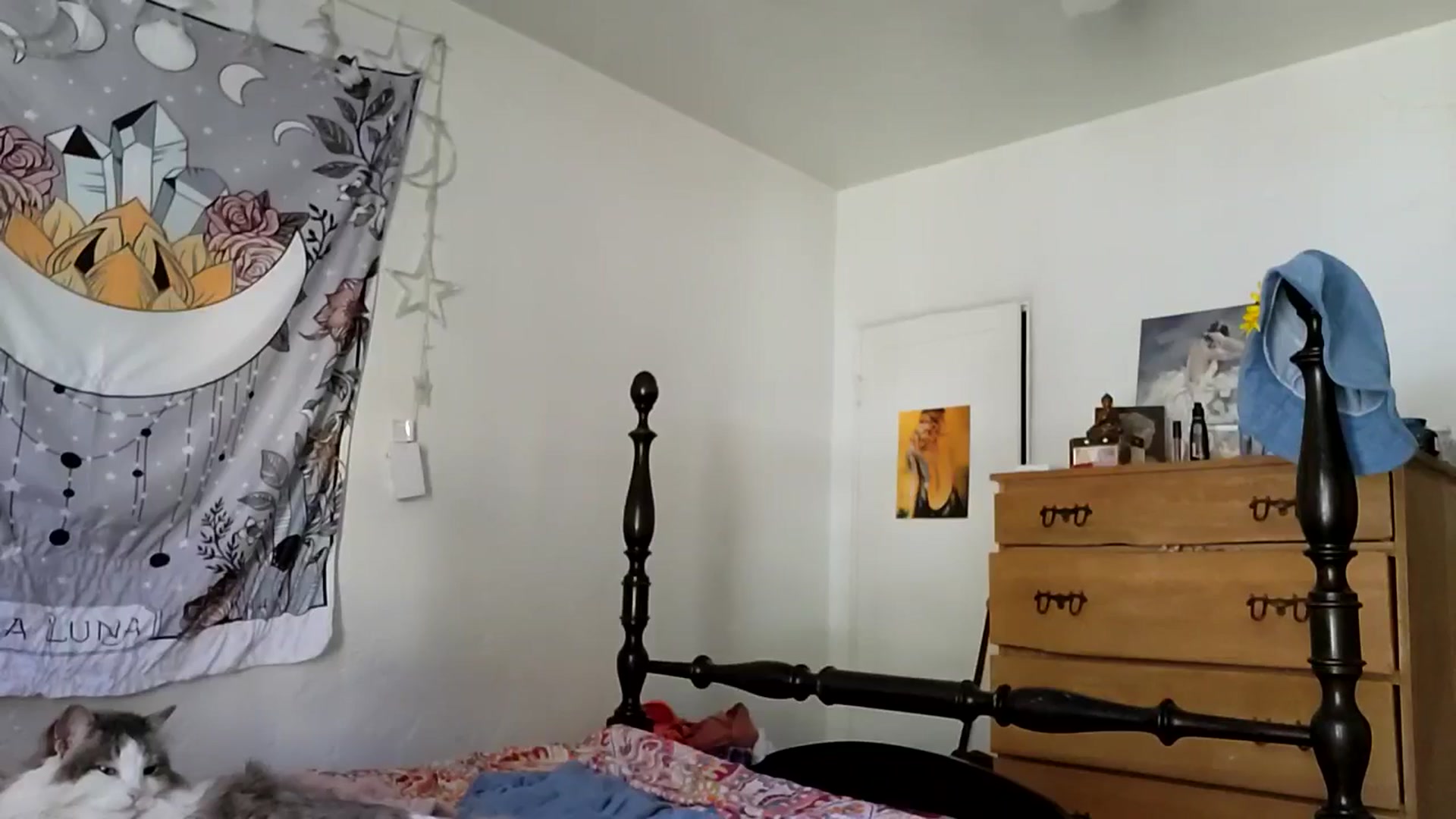 Gallery image thumbnail from TrollopTaylor's myfreecams stream on, 12/28/2025, 20:23 image 3 of 20