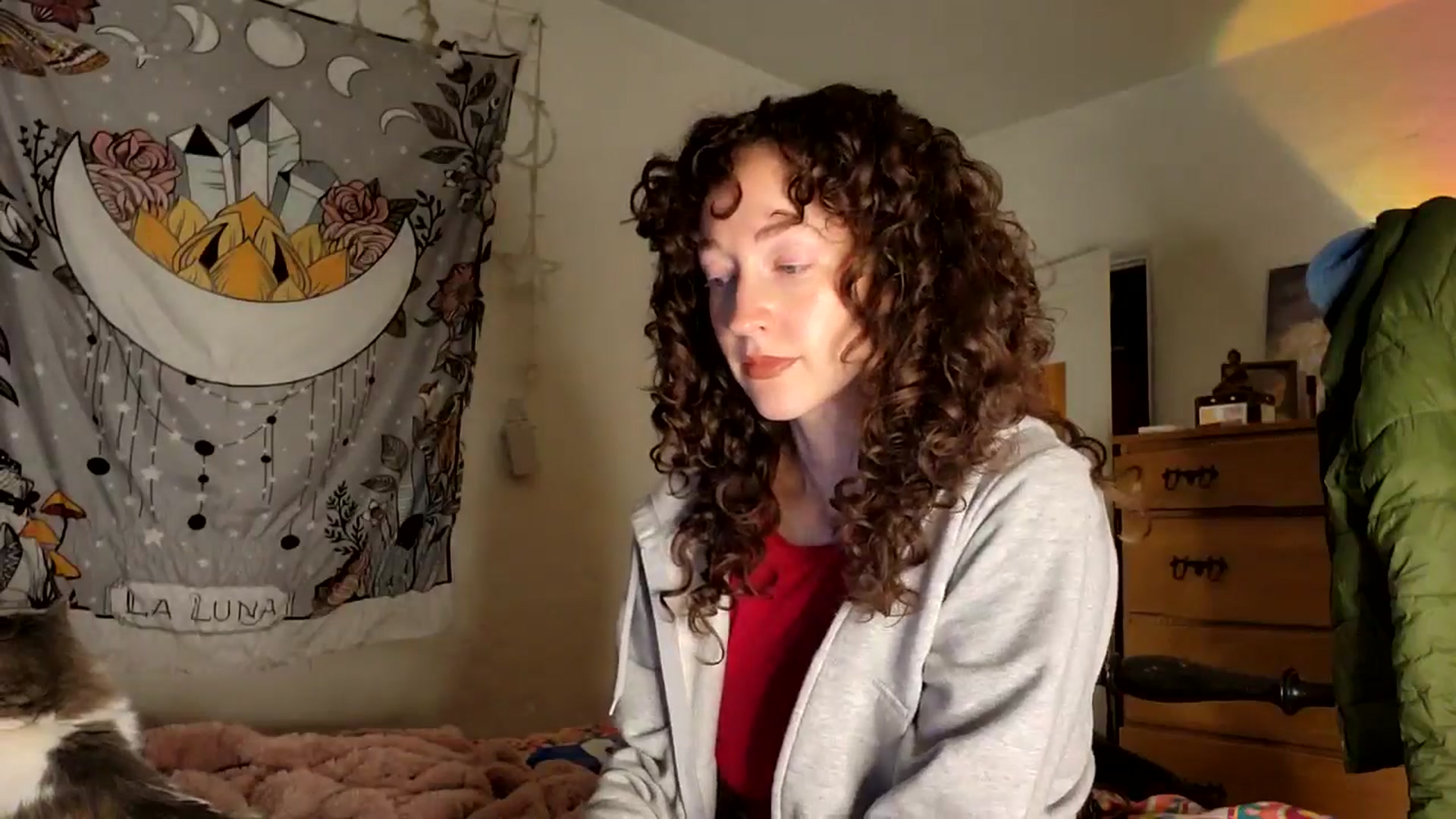 Gallery image thumbnail from TrollopTaylor's myfreecams stream on, 01/01/2026, 24:41 image 20 of 20