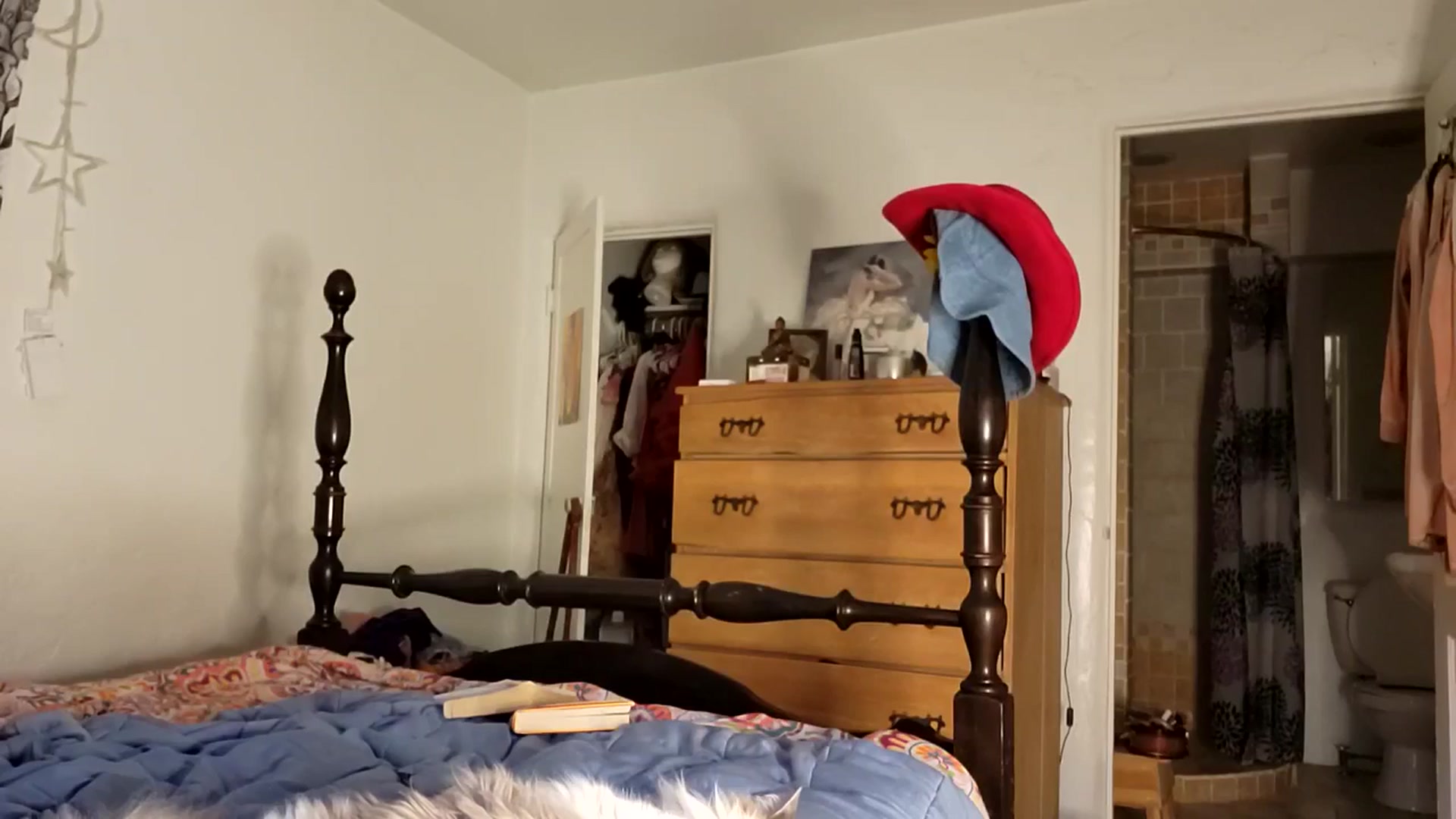 Gallery image thumbnail from TrollopTaylor's myfreecams stream on, 01/08/2026, 18:57 image 6 of 20
