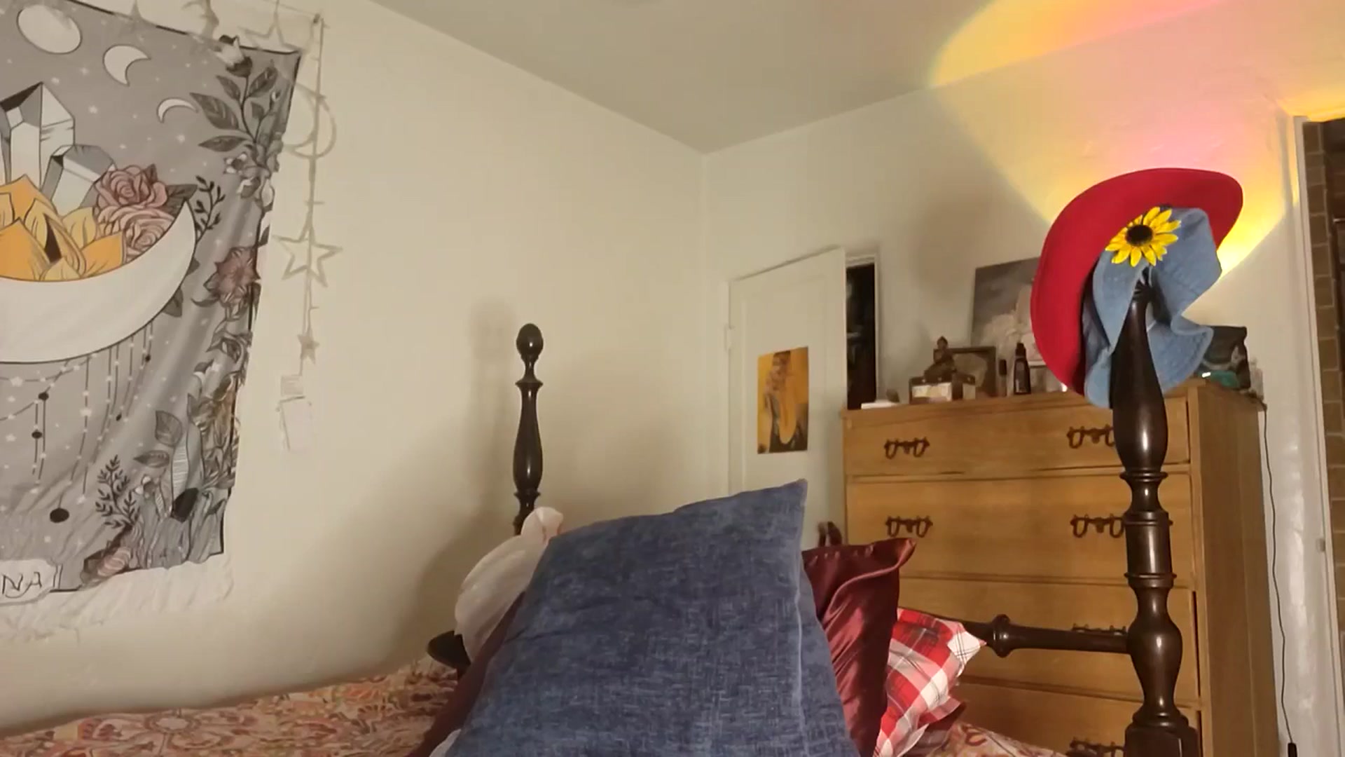 Gallery image thumbnail from TrollopTaylor's myfreecams stream on, 01/31/2026, 01:15 image 10 of 20