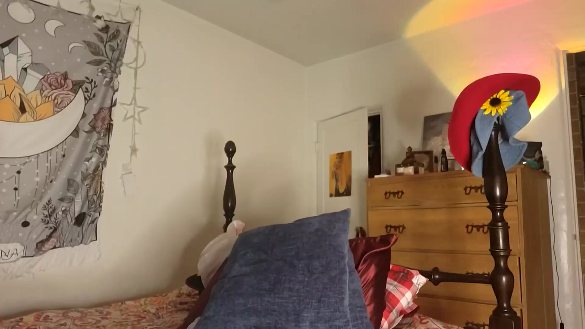 Gallery image thumbnail from TrollopTaylor's myfreecams stream on, 01/31/2026, 01:15 image 9 of 20