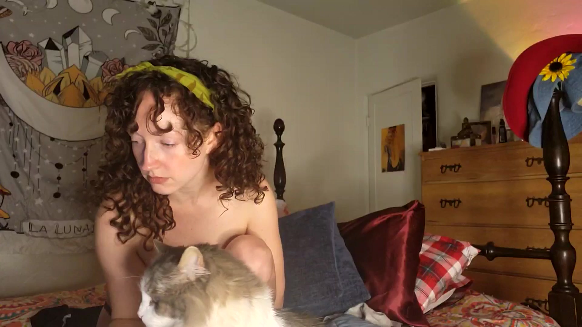 Gallery image thumbnail from TrollopTaylor's myfreecams stream on, 01/31/2026, 01:15 image 18 of 20