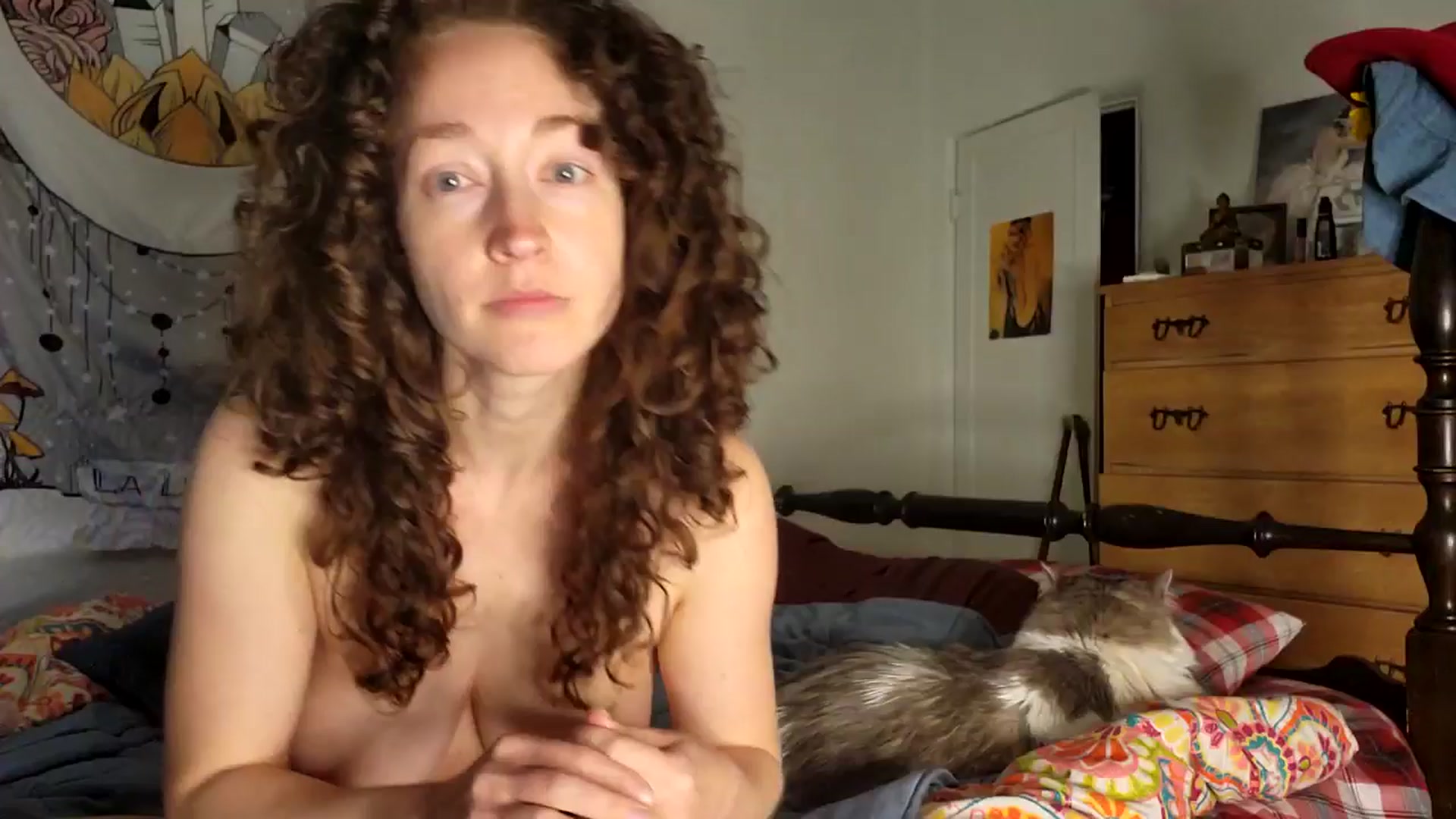 Gallery image thumbnail from TrollopTaylor's myfreecams stream on, 02/13/2026, 18:27 image 20 of 20