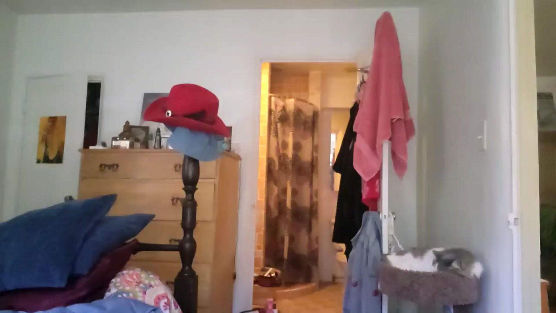 Gallery image thumbnail from TrollopTaylor's myfreecams stream on, 02/20/2026, 19:04 image 19 of 20