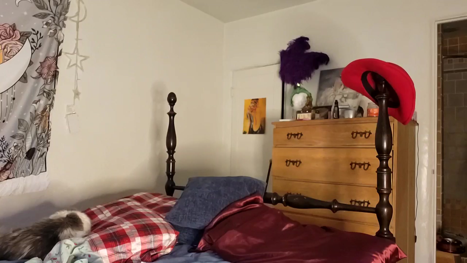 Gallery image thumbnail from TrollopTaylor's myfreecams stream on, 03/01/2026, 22:33 image 17 of 20