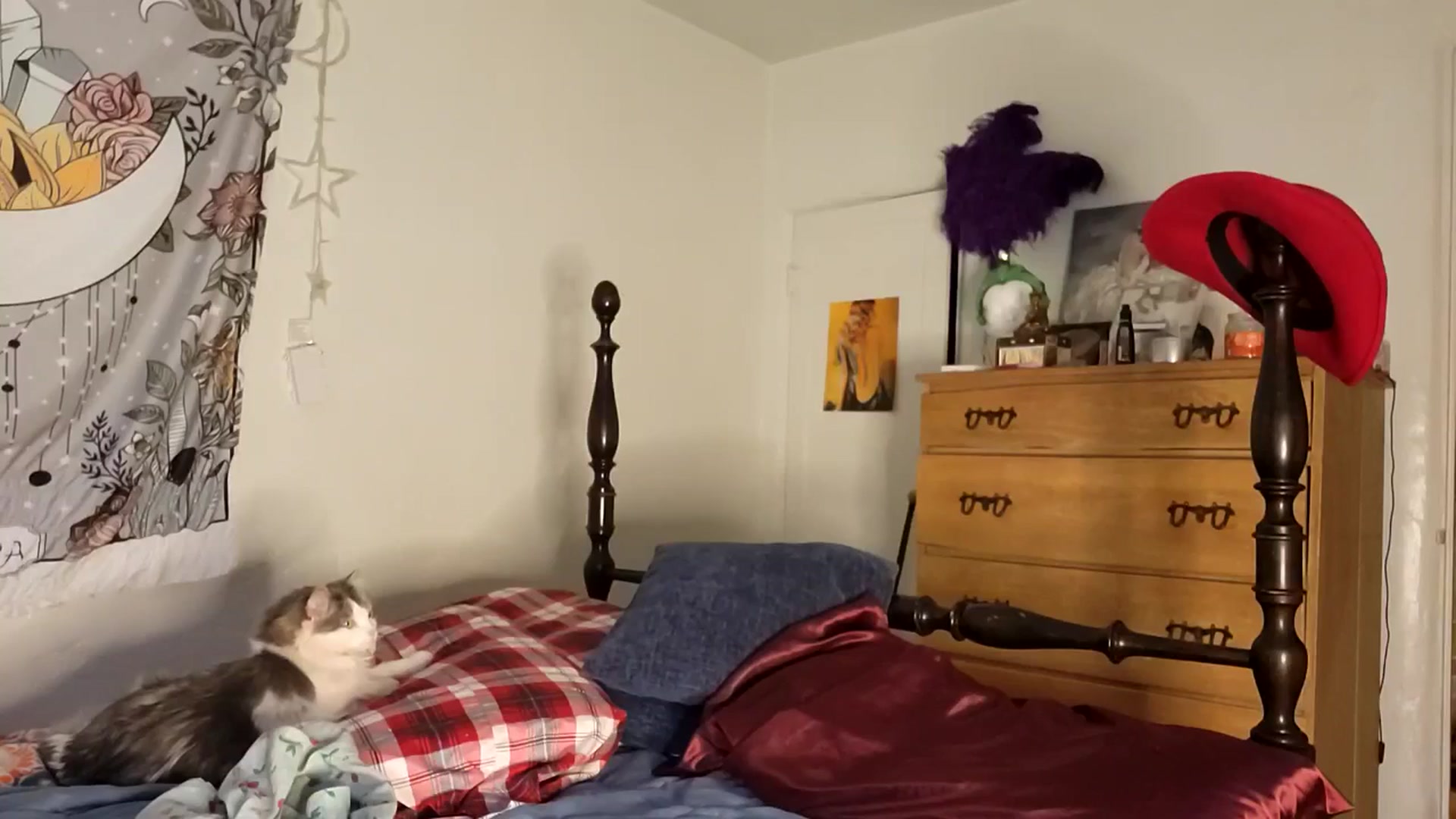 Gallery image thumbnail from TrollopTaylor's myfreecams stream on, 03/01/2026, 22:33 image 13 of 20