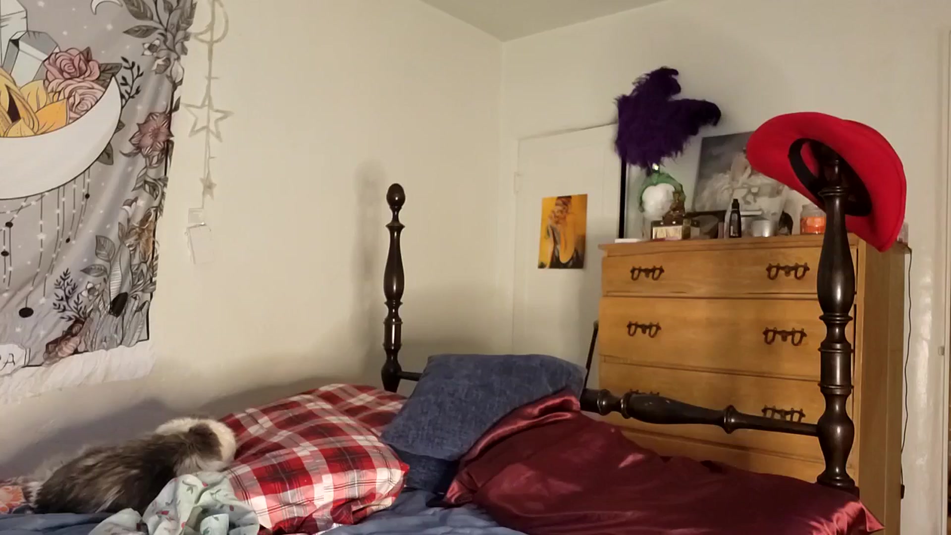 Gallery image thumbnail from TrollopTaylor's myfreecams stream on, 03/01/2026, 22:33 image 12 of 20