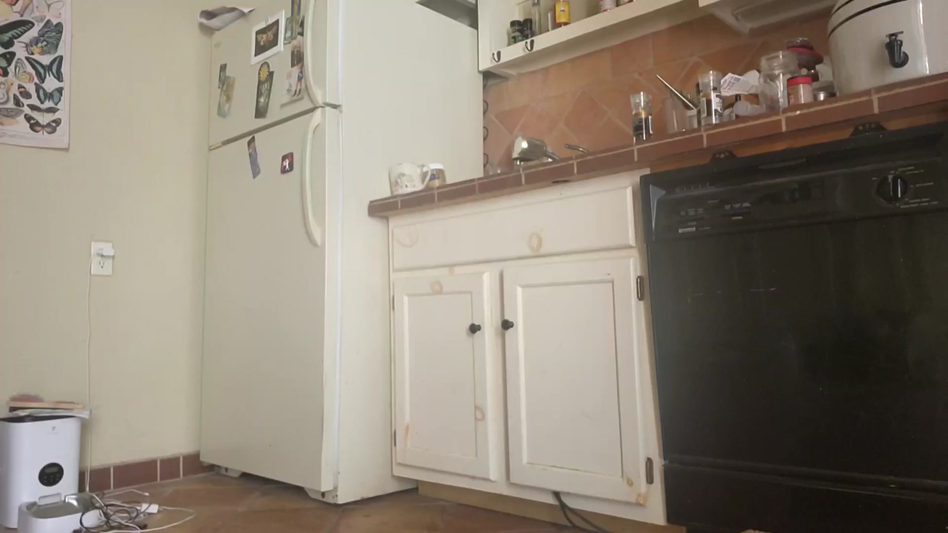 Gallery image thumbnail from TrollopTaylor's myfreecams stream on, 03/02/2026, 20:57 image 8 of 20