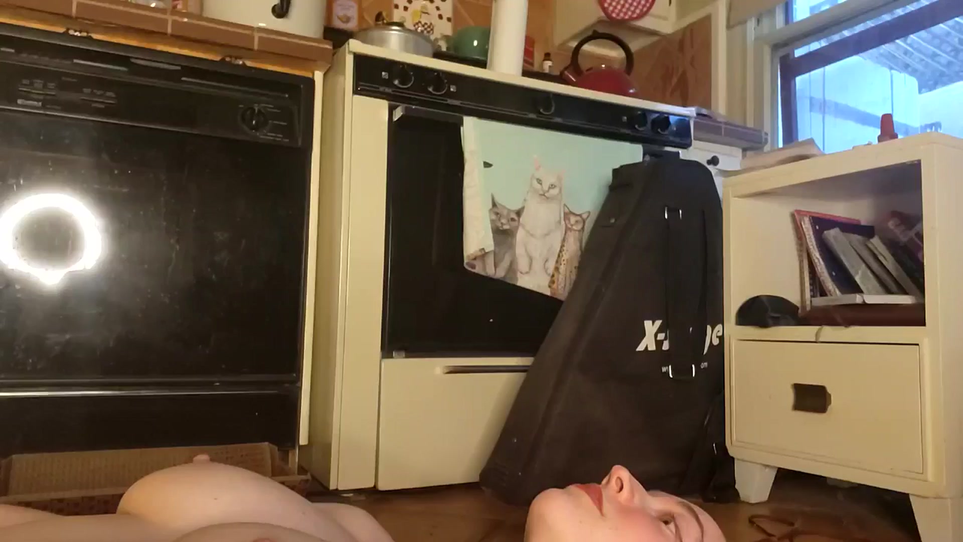Gallery image thumbnail from TrollopTaylor's myfreecams stream on, 03/07/2026, 24:50 image 19 of 20