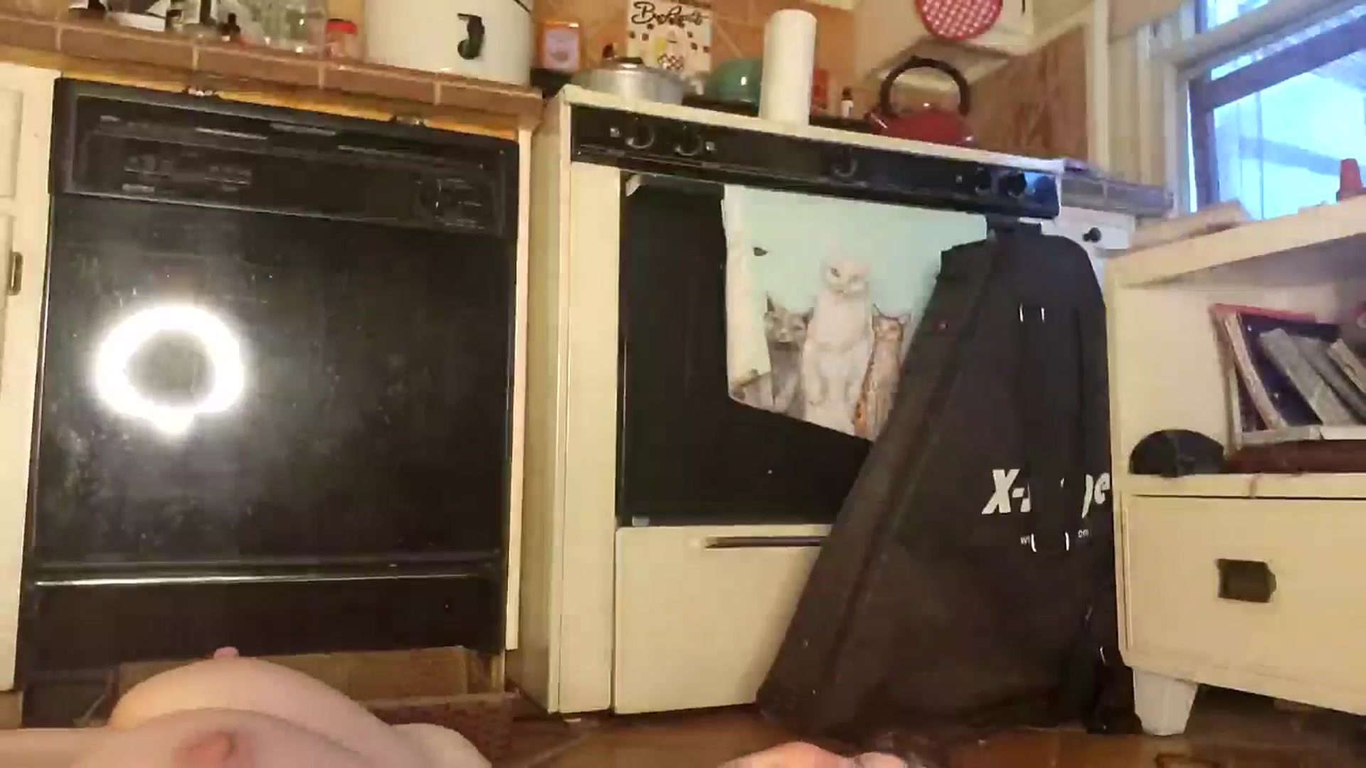 Gallery image thumbnail from TrollopTaylor's myfreecams stream on, 03/07/2026, 24:50 image 17 of 20