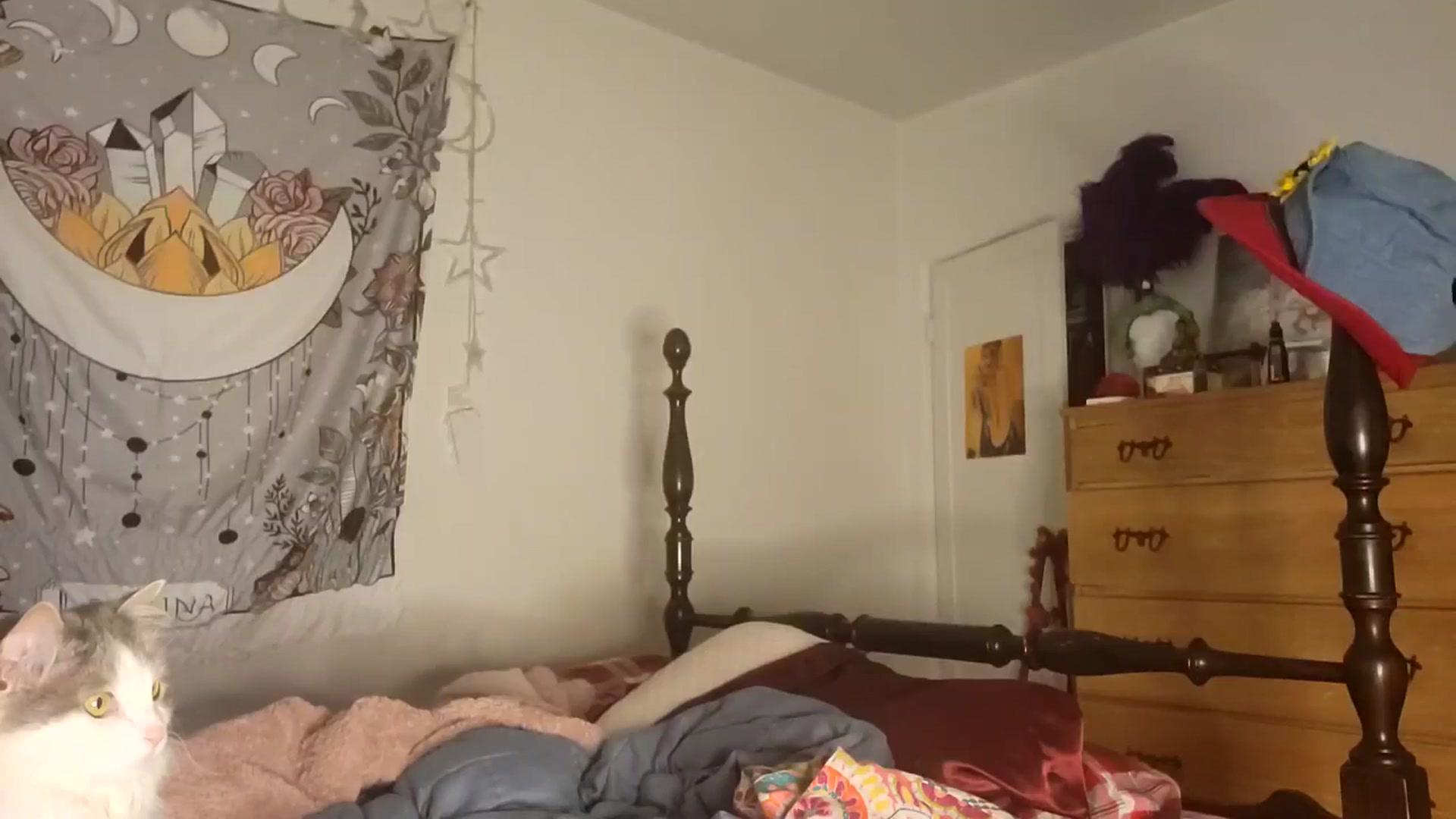 Gallery image thumbnail from TrollopTaylor's myfreecams stream on, 03/10/2026, 17:36 image 19 of 20