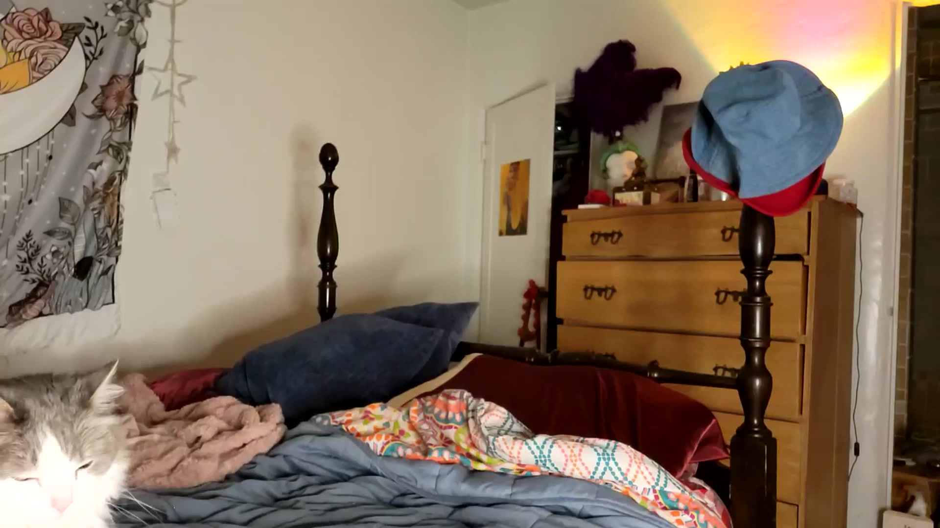 Gallery image thumbnail from TrollopTaylor's myfreecams stream on, 04/07/2026, 02:38 image 13 of 20