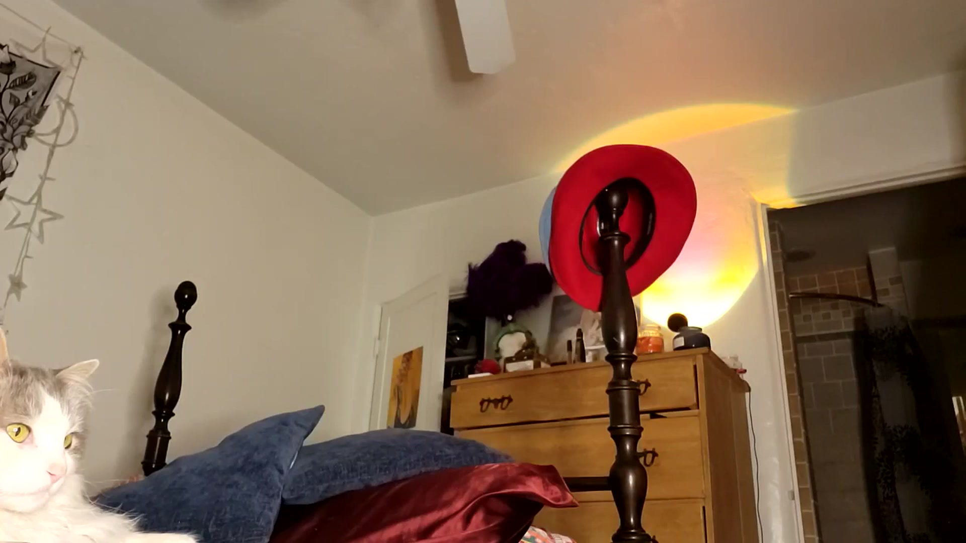 Gallery image thumbnail from TrollopTaylor's myfreecams stream on, 04/12/2026, 02:44 image 4 of 20