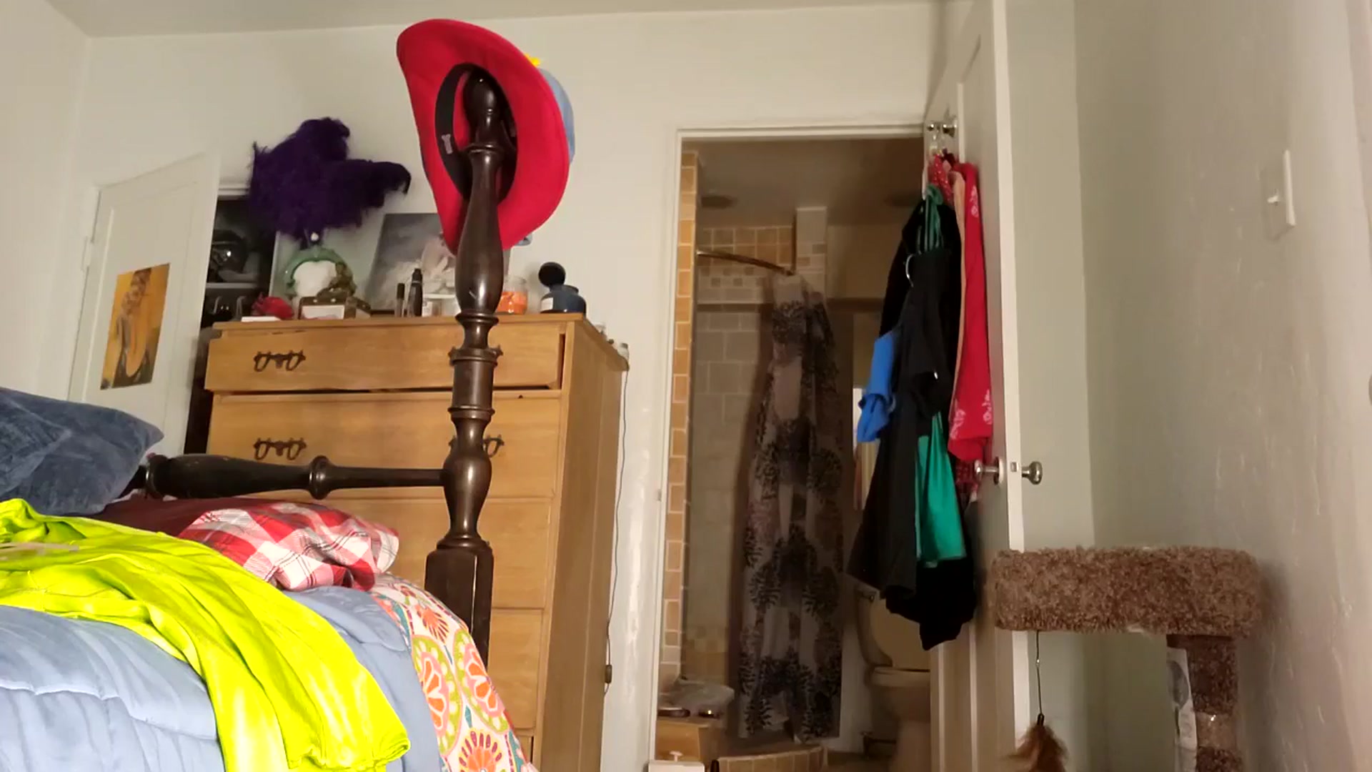 Gallery image thumbnail from TrollopTaylor's myfreecams stream on, 04/13/2026, 23:27 image 16 of 20