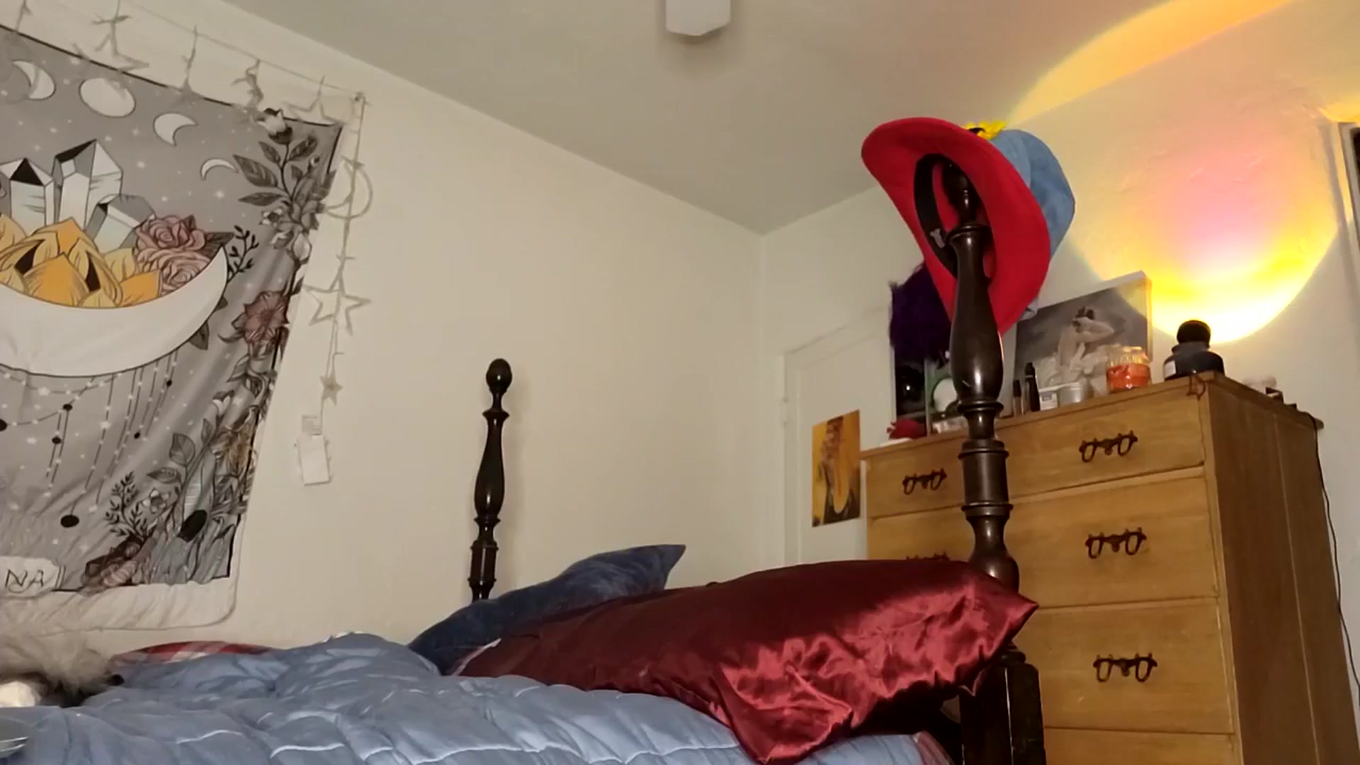 Gallery image thumbnail from TrollopTaylor's myfreecams stream on, 04/18/2026, 04:21 image 13 of 20