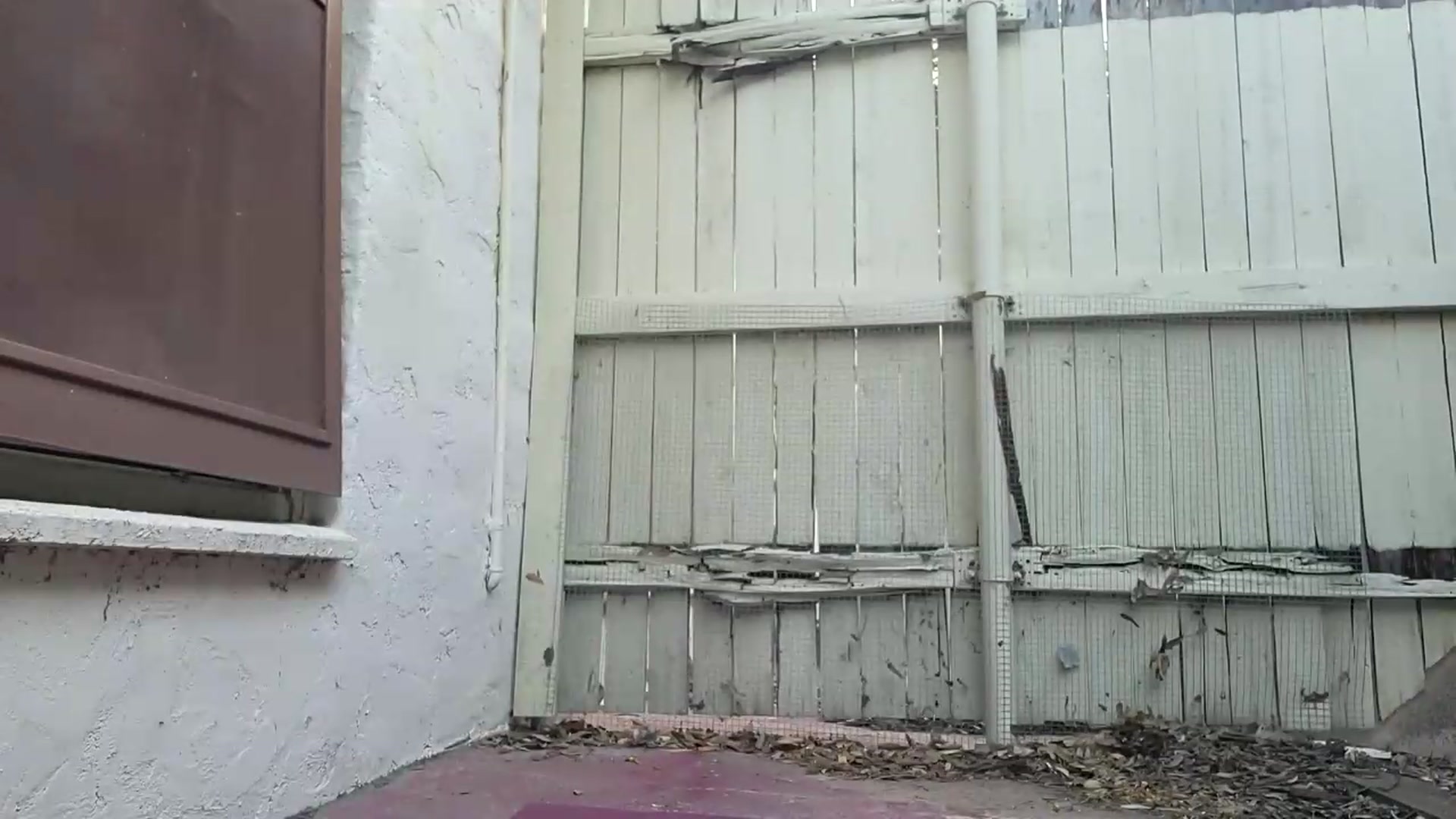 Gallery image thumbnail from TrollopTaylor's myfreecams stream on, 05/14/2026, 01:52 image 8 of 20