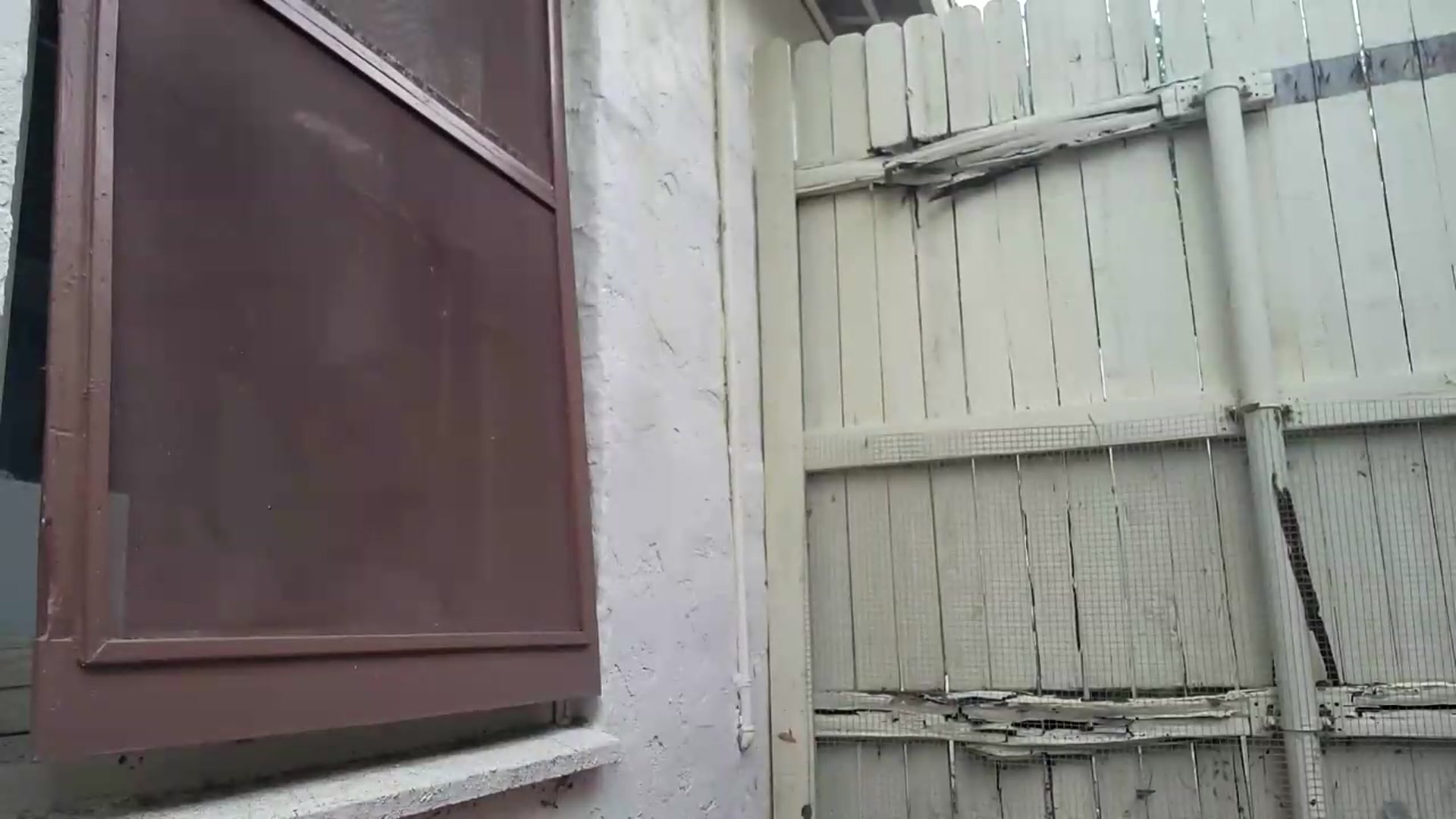 Gallery image thumbnail from TrollopTaylor's myfreecams stream on, 05/14/2026, 01:52 image 19 of 20