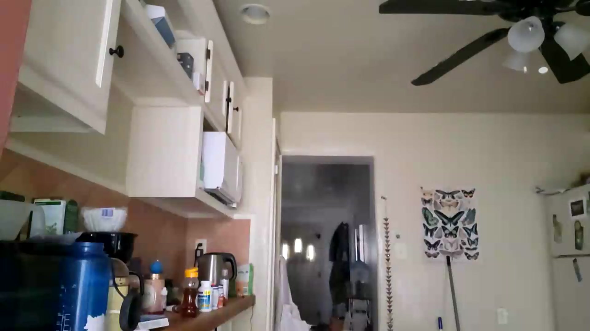 Gallery image thumbnail from TrollopTaylor's myfreecams stream on, 05/21/2026, 01:35 image 20 of 20