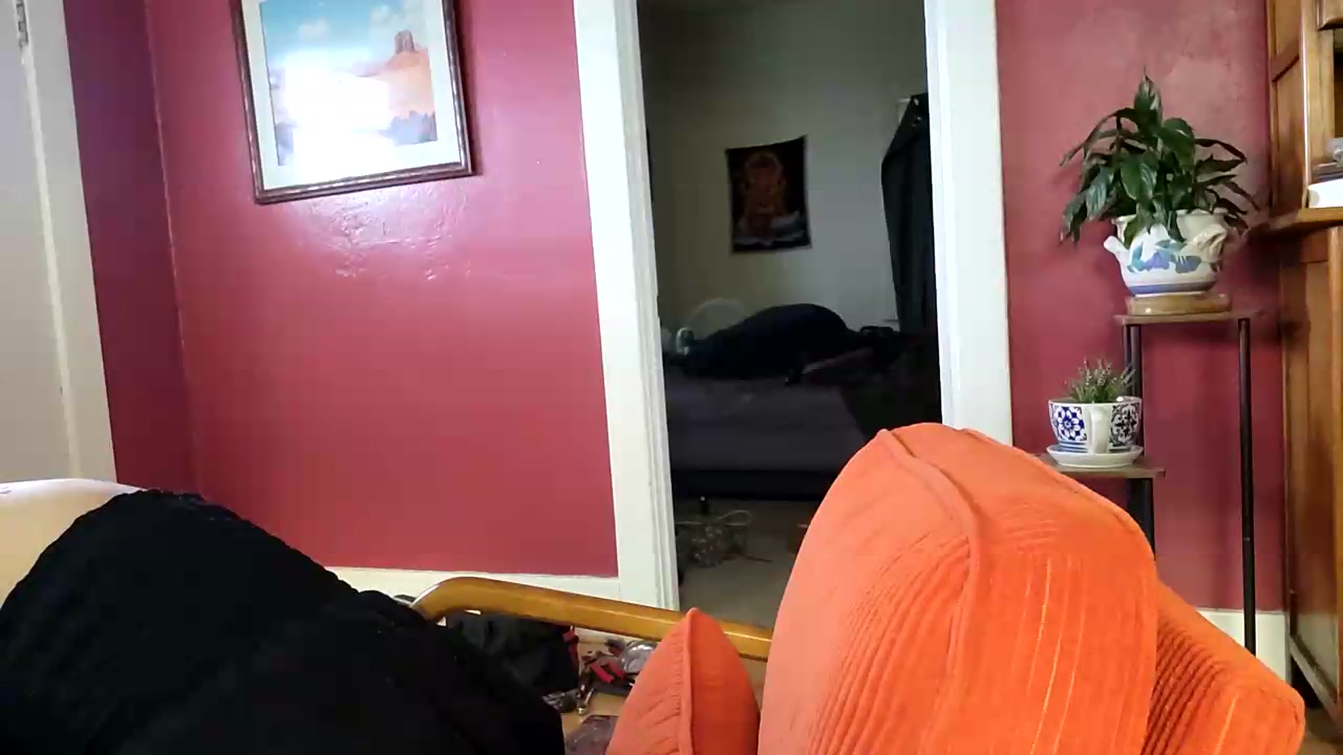 Gallery image thumbnail from TrollopTaylor's myfreecams stream on, 05/24/2026, 23:35 image 20 of 20