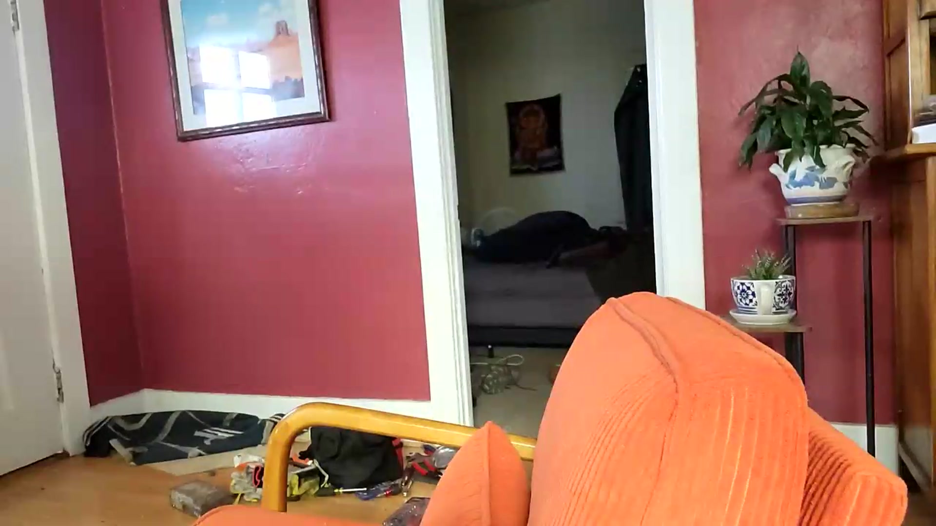 Gallery image thumbnail from TrollopTaylor's myfreecams stream on, 05/24/2026, 23:35 image 17 of 20