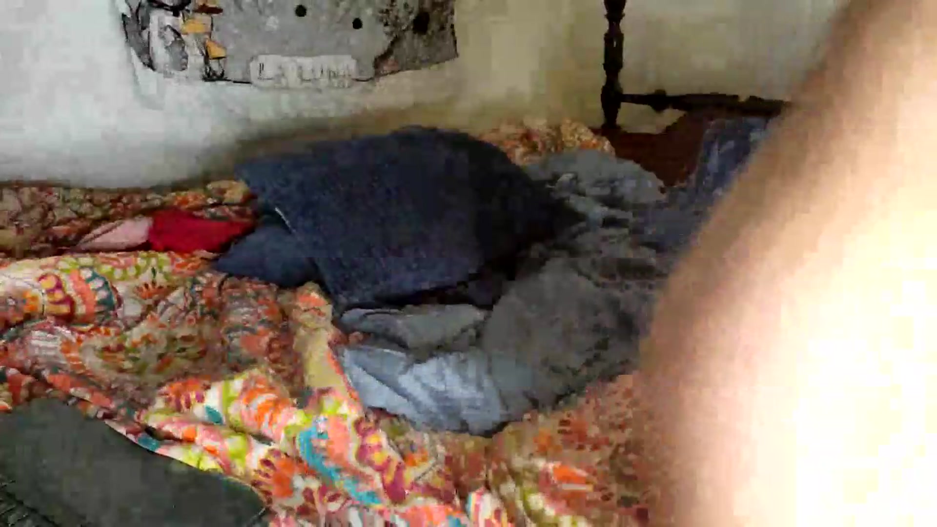 Gallery image thumbnail from TrollopTaylor's myfreecams stream on, 06/08/2026, 05:09 image 19 of 20