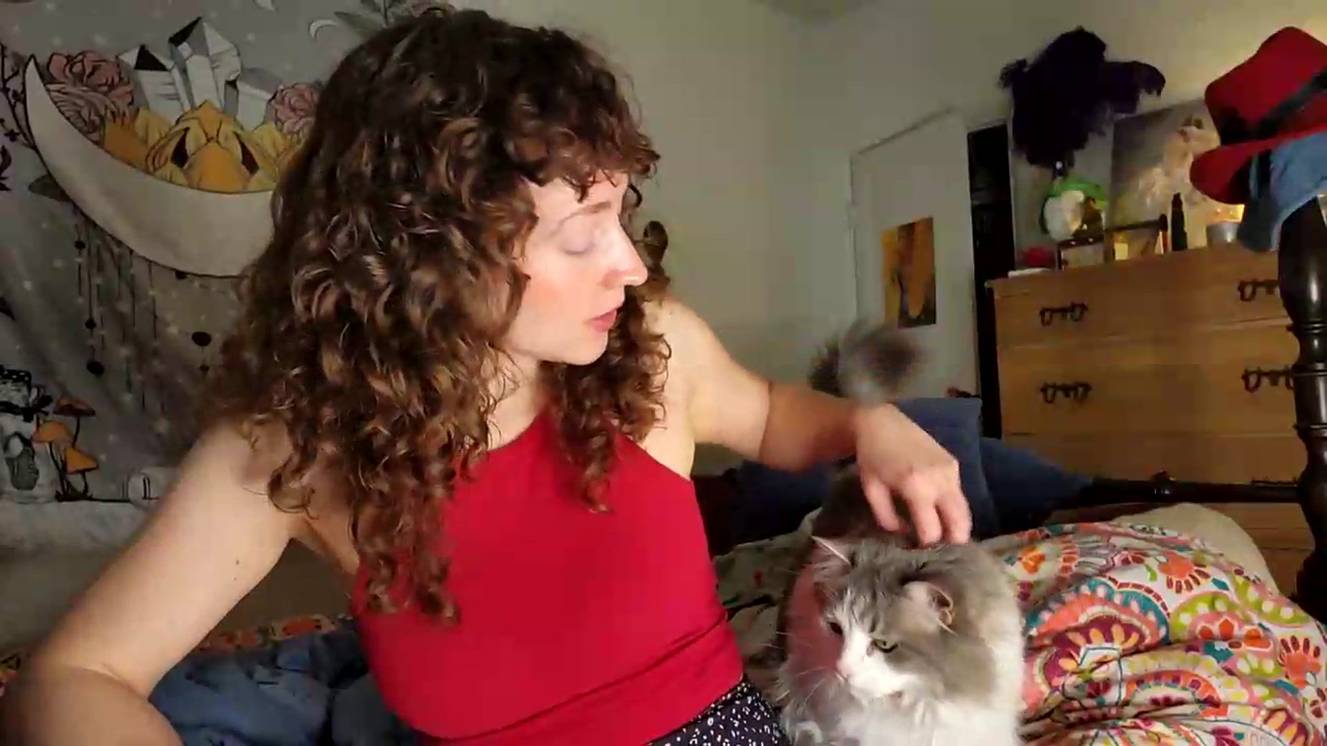 Gallery image thumbnail from TrollopTaylor's myfreecams stream on, 06/12/2026, 03:14 image 7 of 20