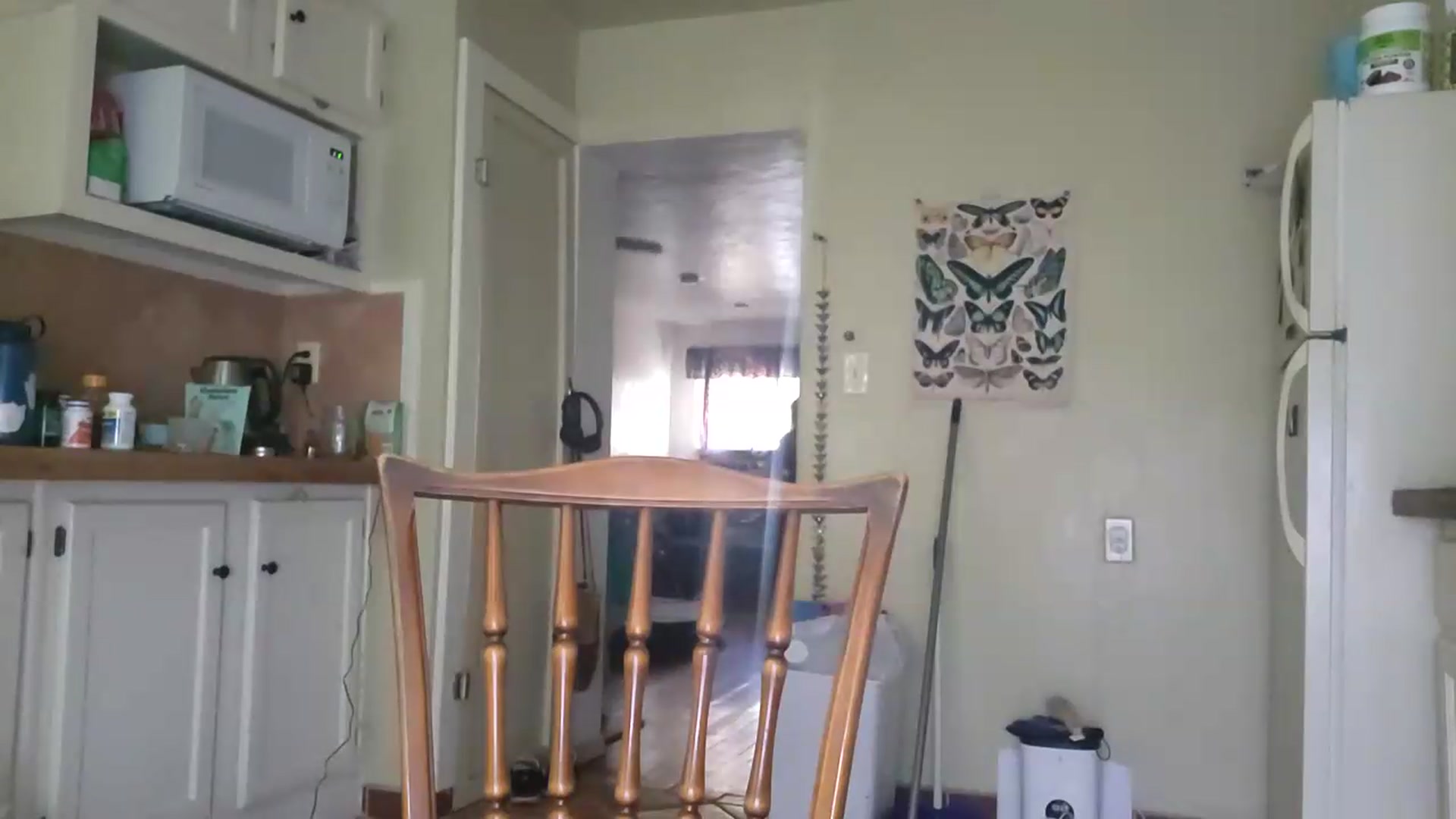 Gallery image thumbnail from TrollopTaylor's myfreecams stream on, 06/20/2026, 23:29 image 17 of 20