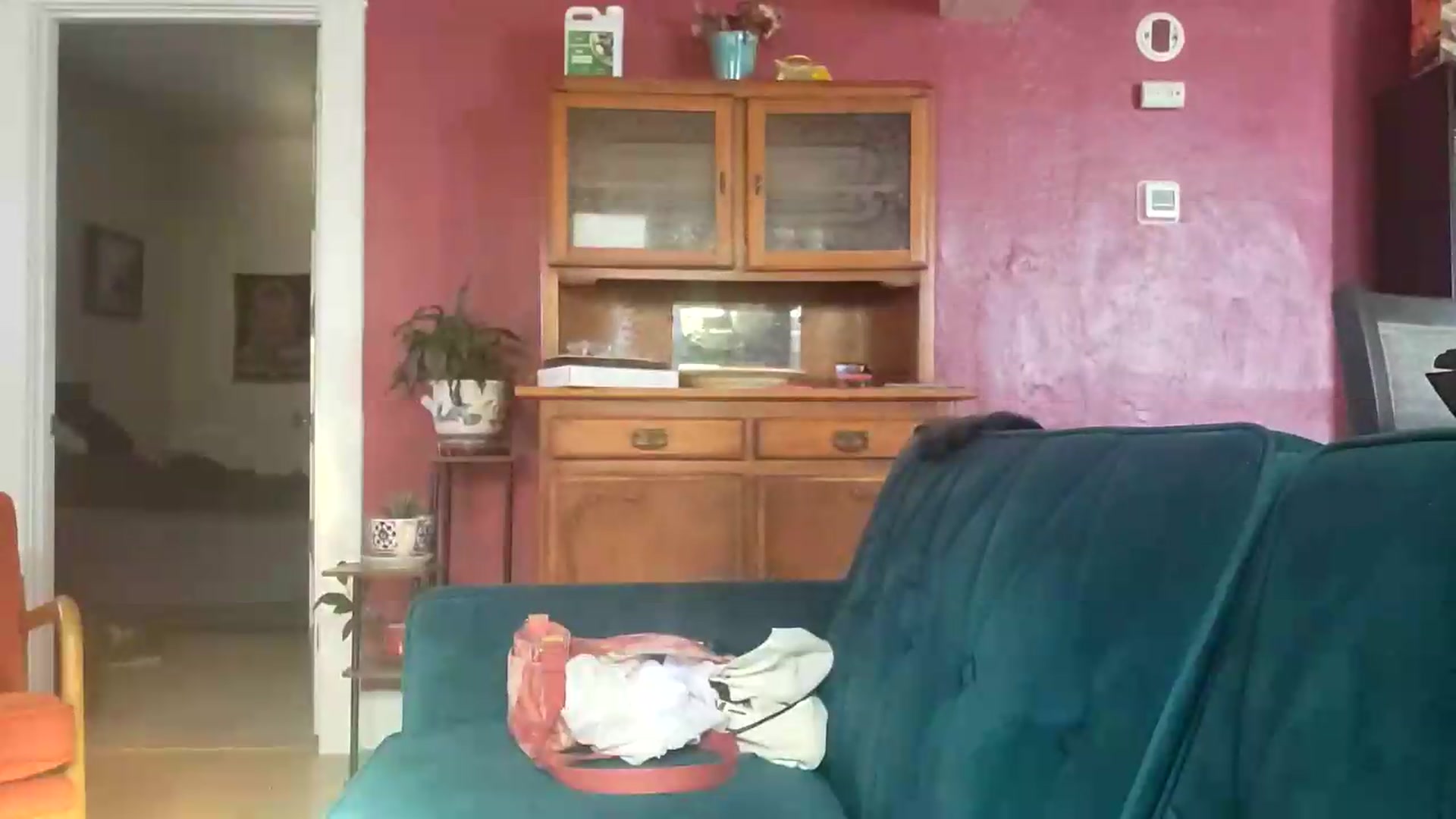 Gallery image thumbnail from TrollopTaylor's myfreecams stream on, 06/28/2026, 24:01 image 15 of 20