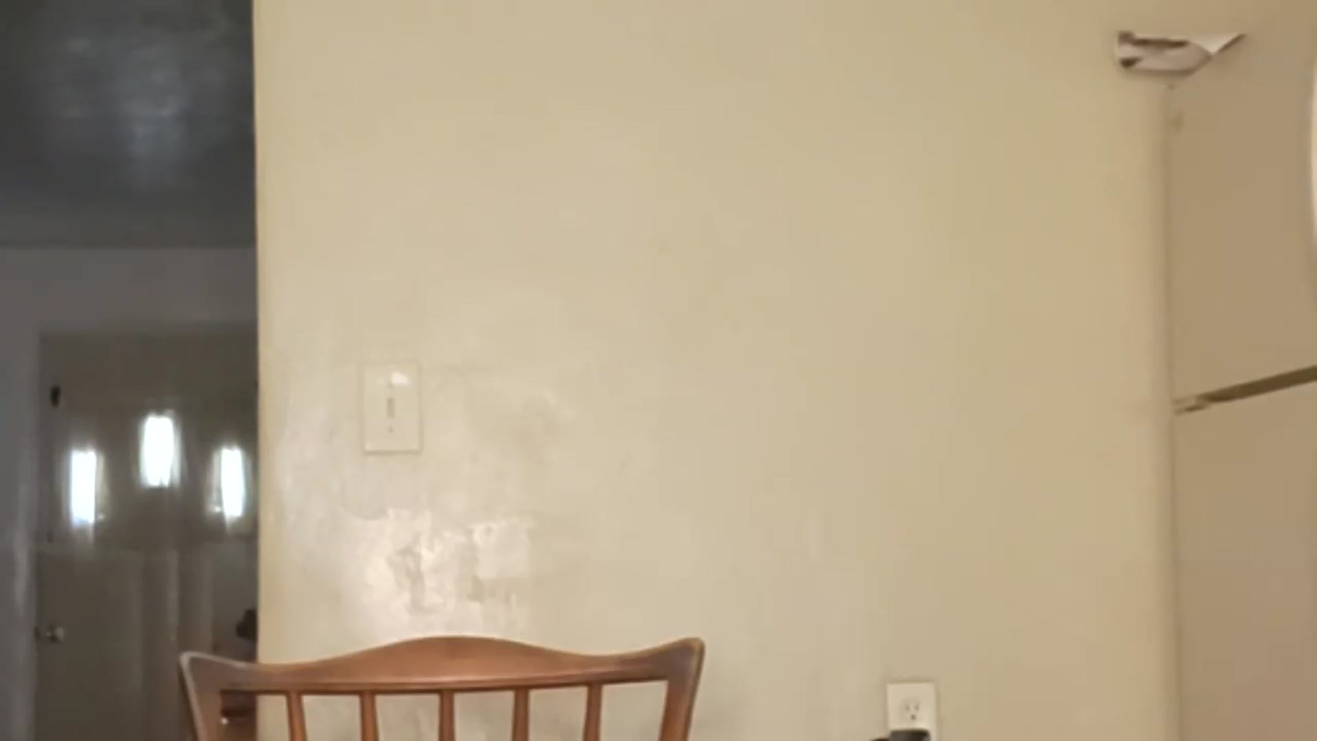 Gallery image thumbnail from TrollopTaylor's myfreecams stream on, 07/03/2026, 22:35 image 10 of 20