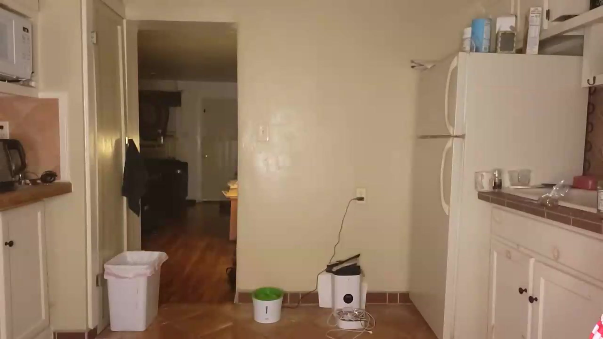 Gallery image thumbnail from TrollopTaylor's myfreecams stream on, 07/04/2026, 02:59 image 6 of 20