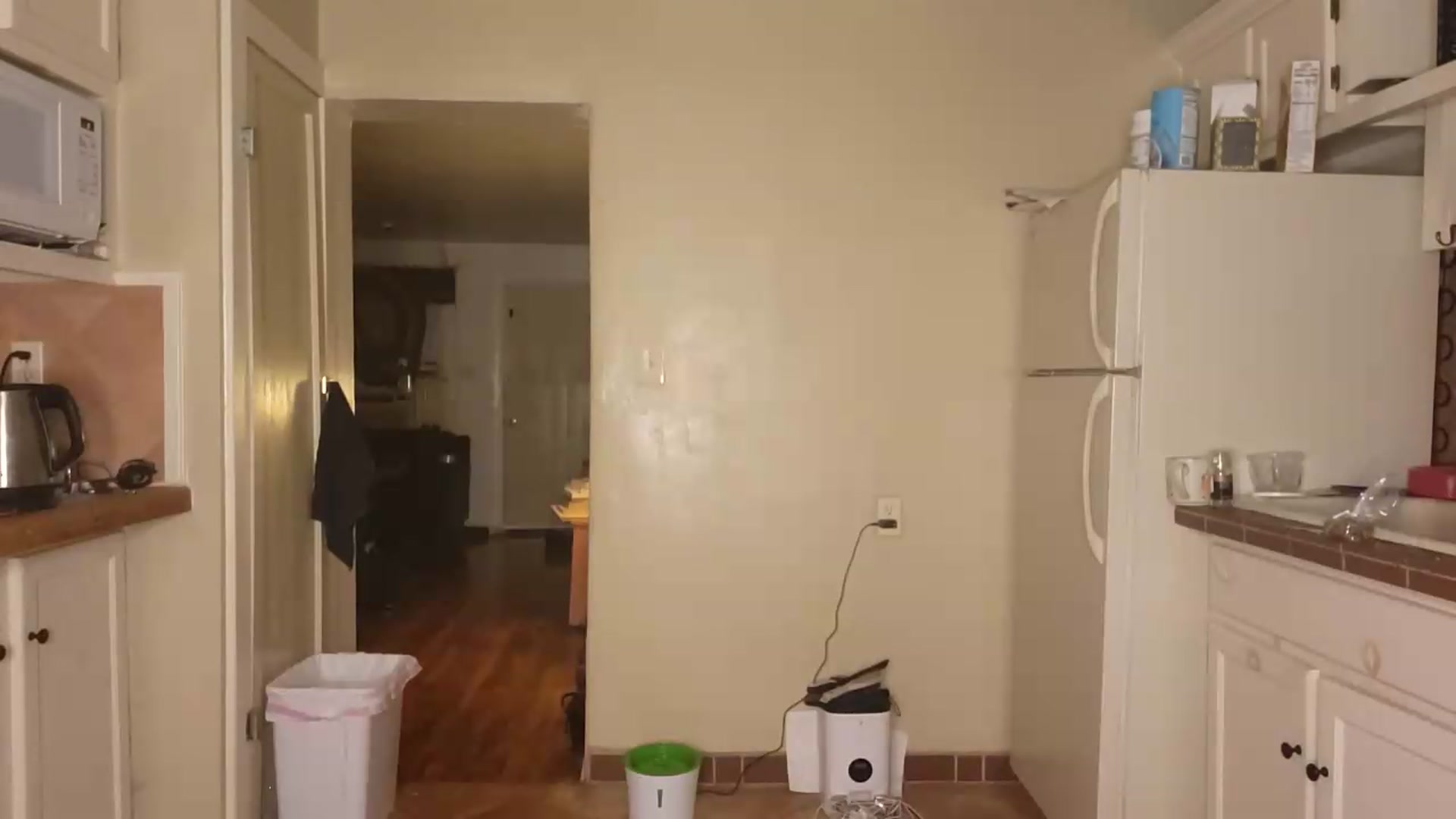 Gallery image thumbnail from TrollopTaylor's myfreecams stream on, 07/04/2026, 02:59 image 11 of 20