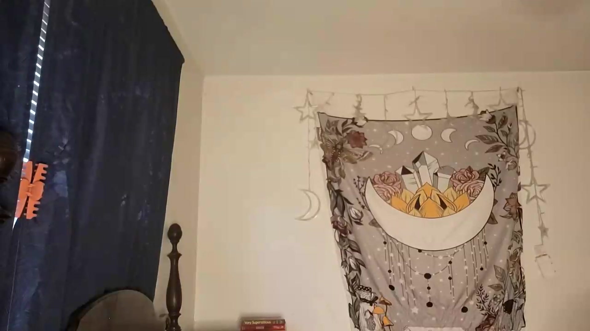 Gallery image thumbnail from TrollopTaylor's myfreecams stream on, 07/09/2026, 24:55 image 12 of 20
