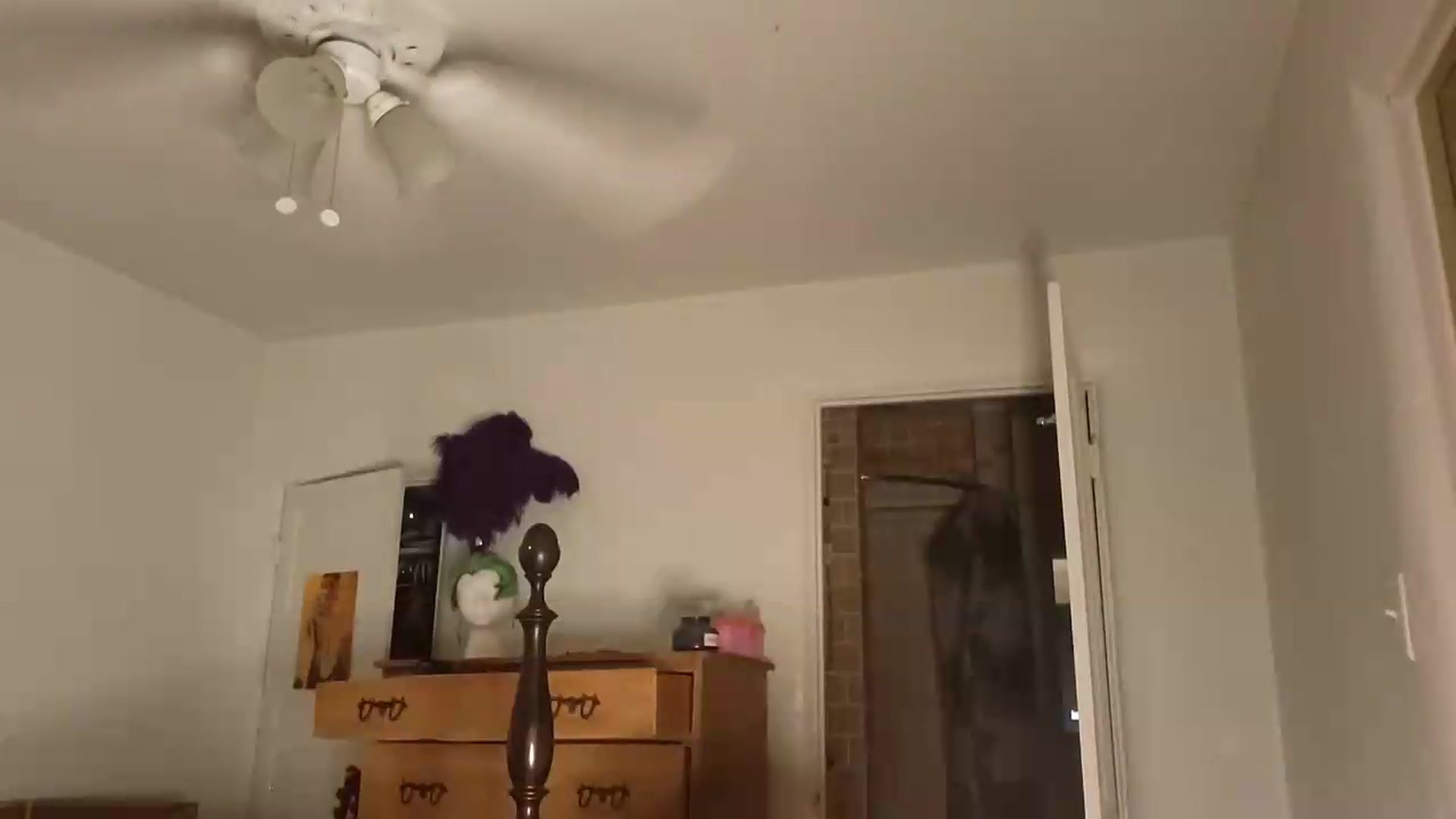 Gallery image thumbnail from TrollopTaylor's myfreecams stream on, 07/09/2026, 24:55 image 15 of 20