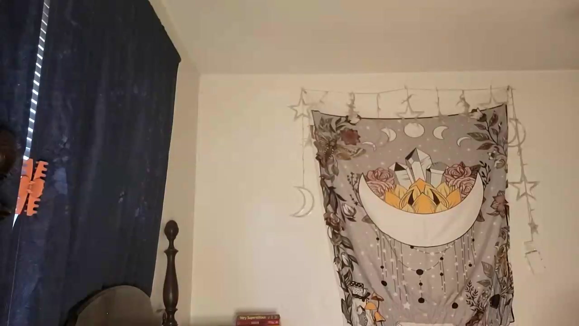 Gallery image thumbnail from TrollopTaylor's myfreecams stream on, 07/09/2026, 24:55 image 14 of 20