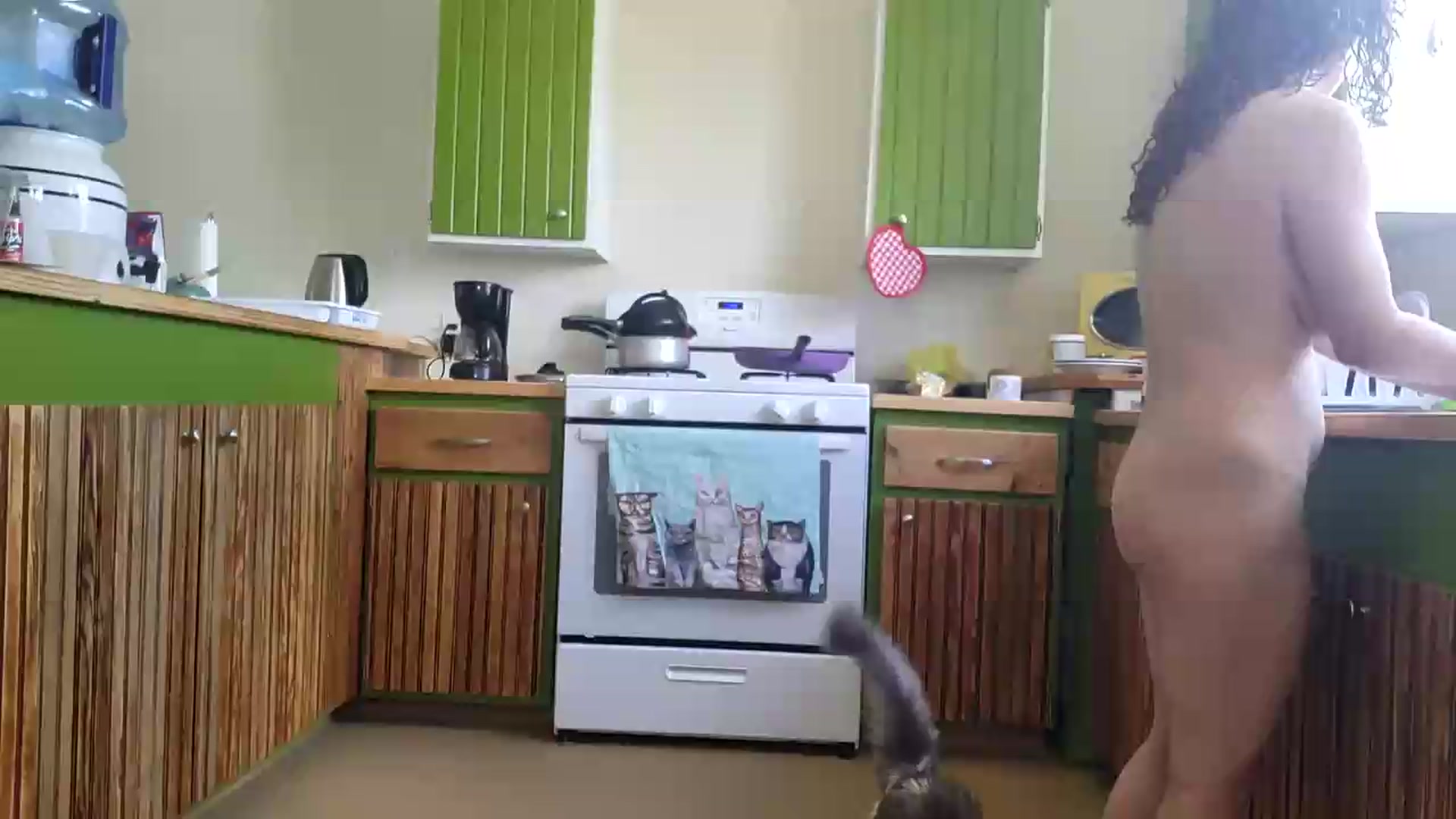 Gallery image thumbnail from TrollopTaylor's myfreecams stream on, 07/15/2026, 21:09 image 16 of 20