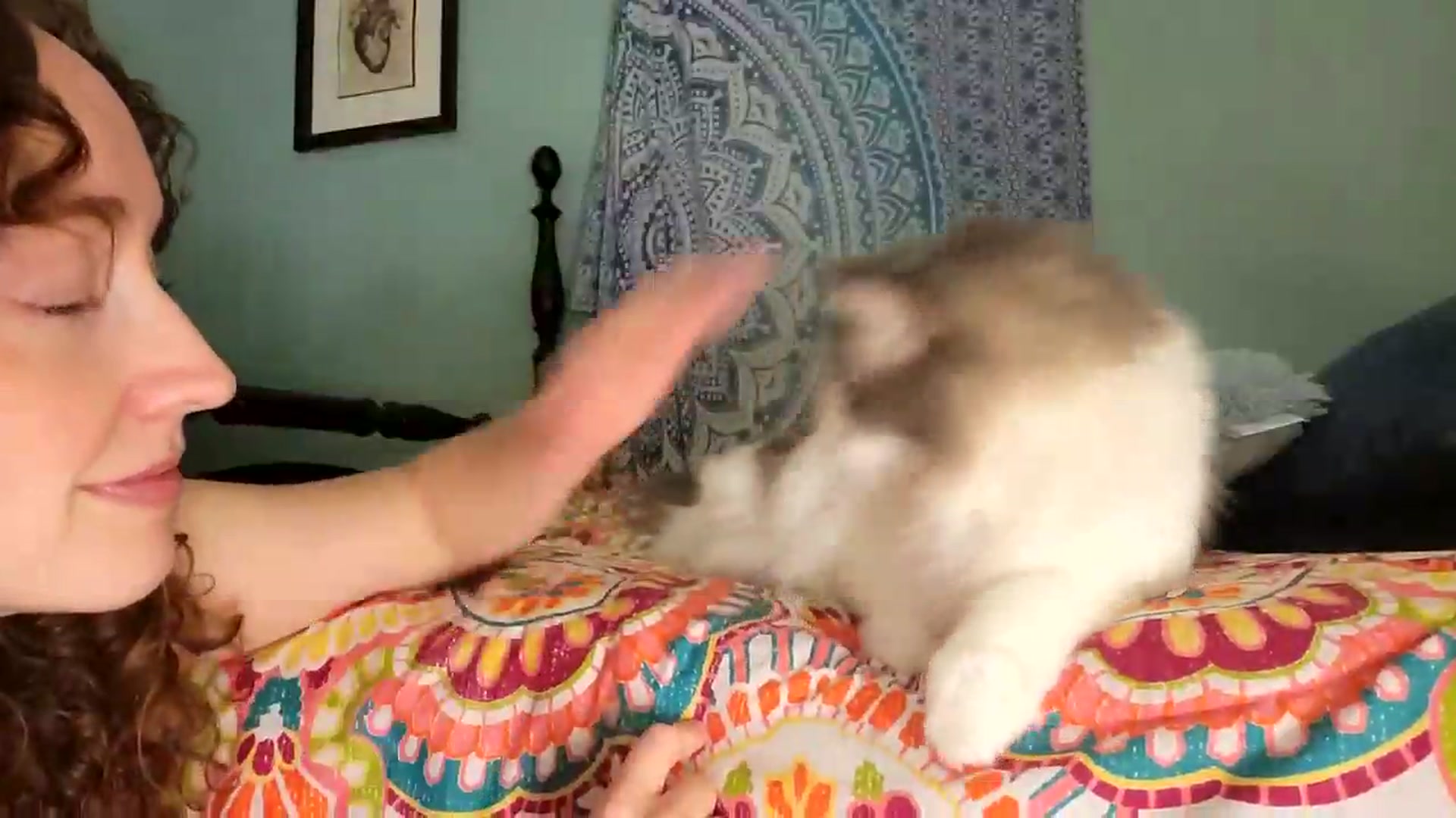 Gallery image thumbnail from TrollopTaylor's myfreecams stream on, 07/29/2026, 03:08 image 13 of 20