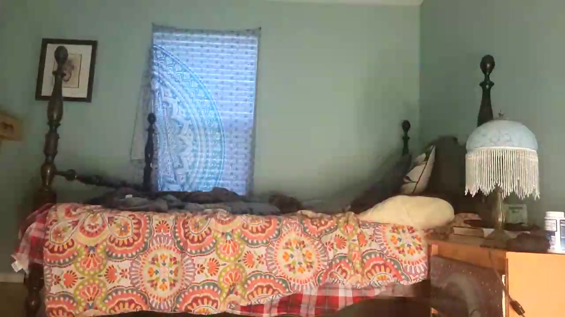 Gallery image thumbnail from TrollopTaylor's myfreecams stream on, 08/01/2026, 02:19 image 14 of 20