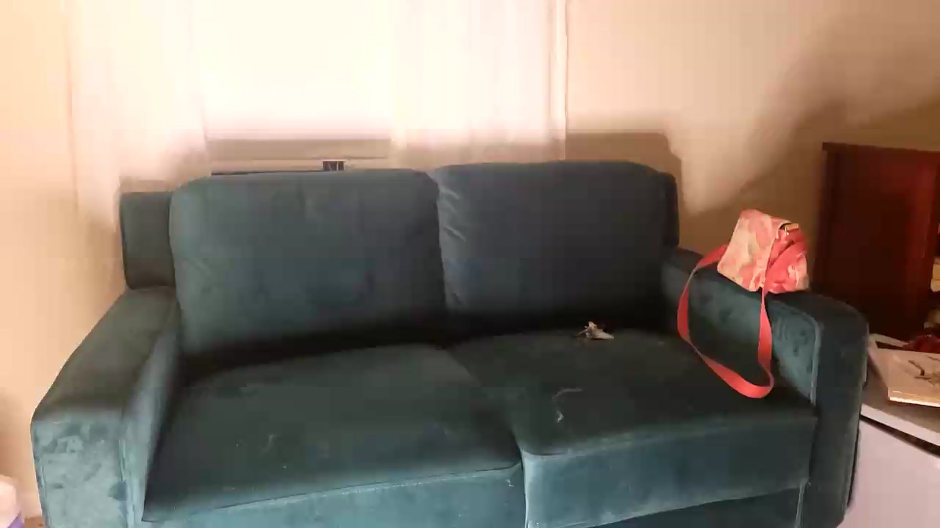 Gallery image thumbnail from TrollopTaylor's myfreecams stream on, 08/07/2026, 04:04 image 1 of 20
